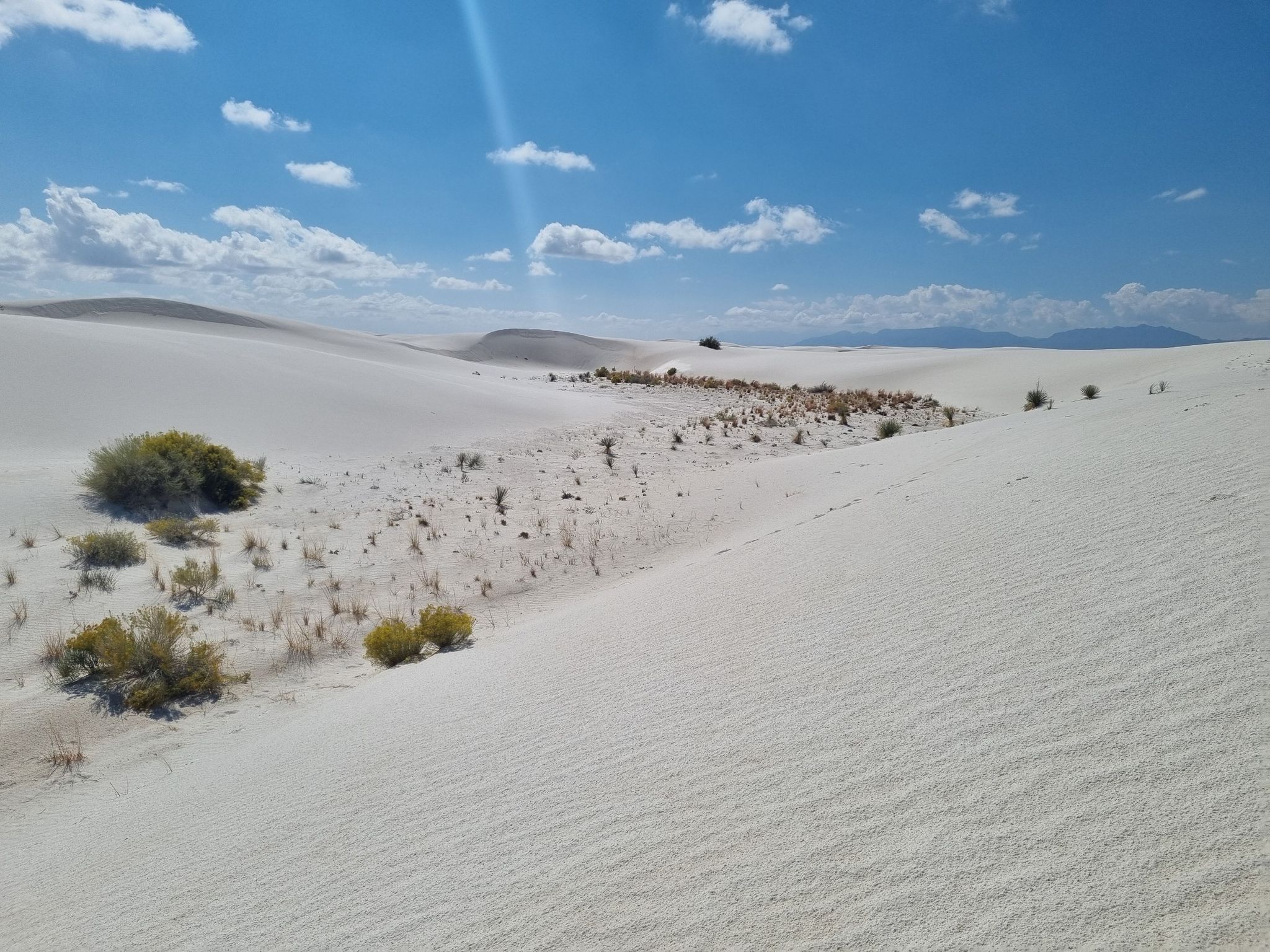 Sunny desert landscape with white sand dunes, sparse green vegetation, and blue sky. - Backcountry Camping Loop Trail