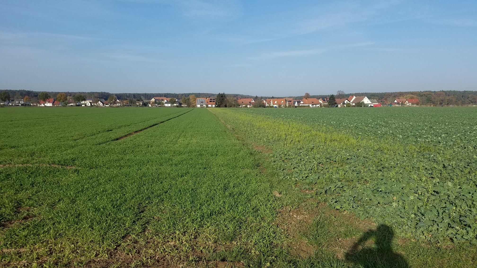 Beutelsdorf