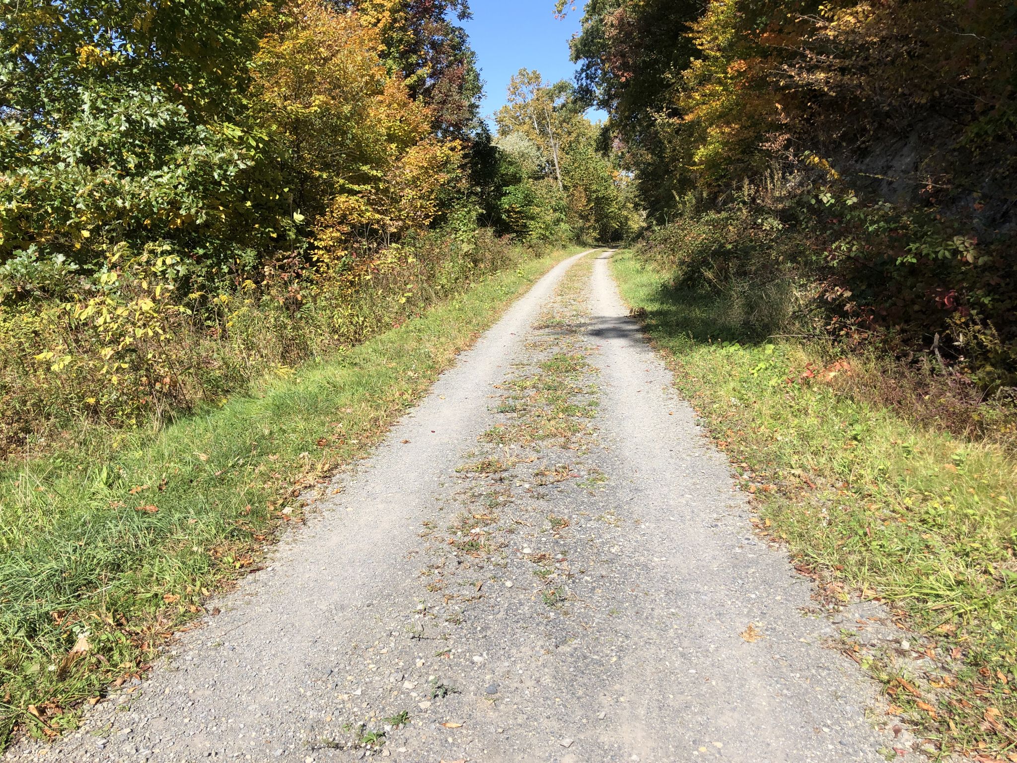 Sunny gravel path through autumn-colored trees and green grass. - Ohio and Erie Canal Towpath Trail