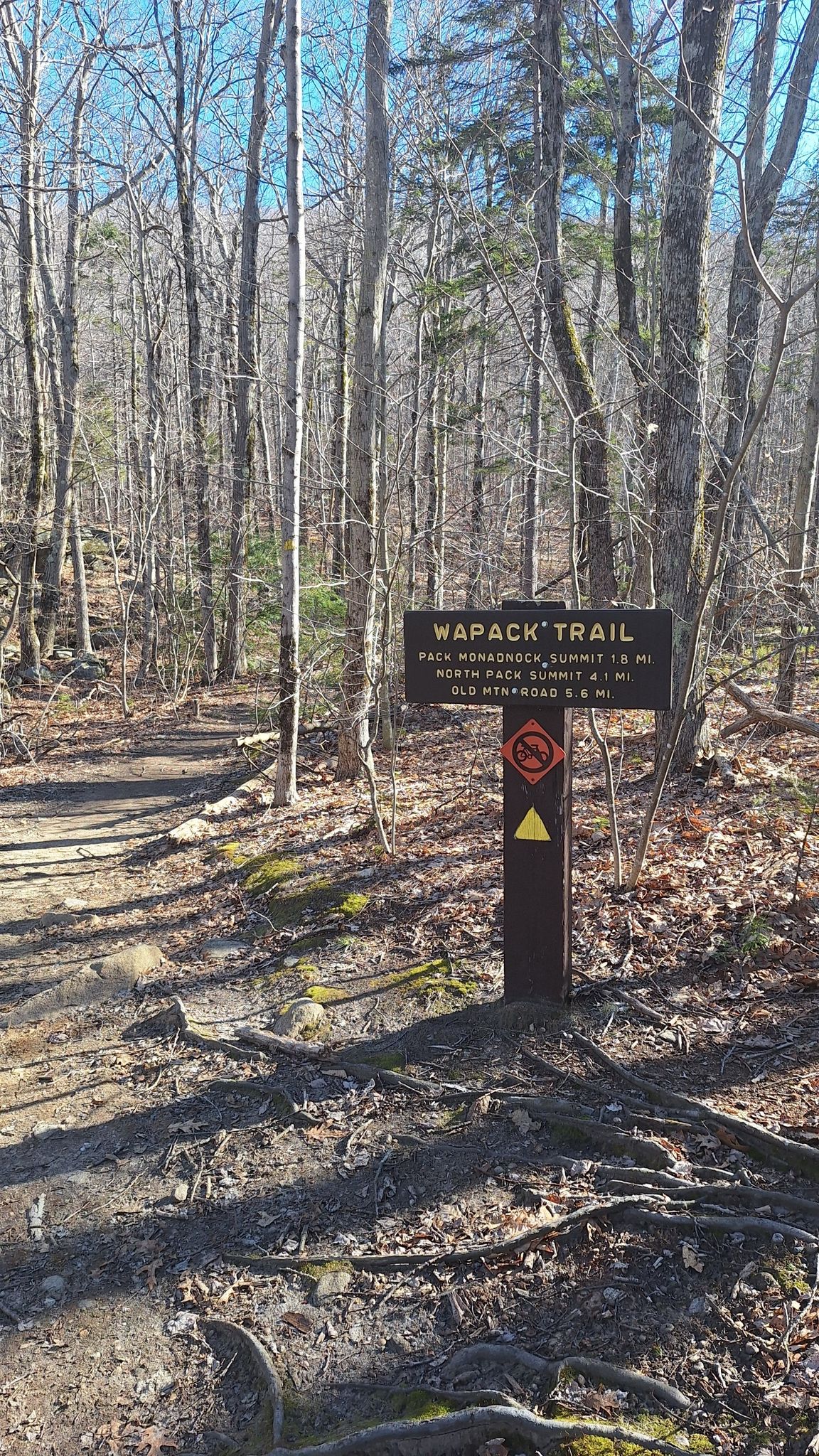 A wooden trail sign on a post in a sunlit, bare forest. - Pack Monadnock Mountain loop from Temple Mountain