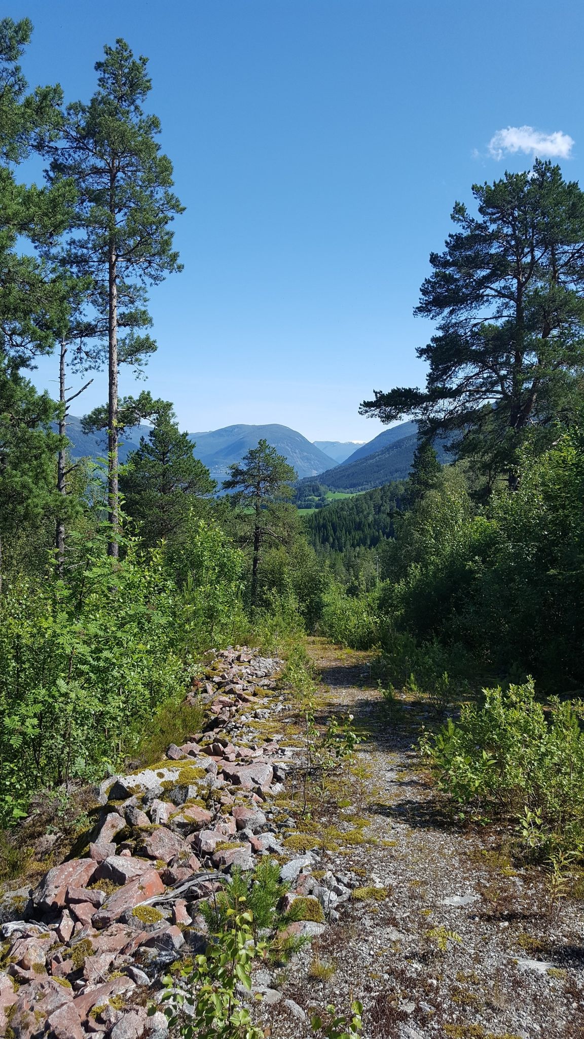 Ausblick 1