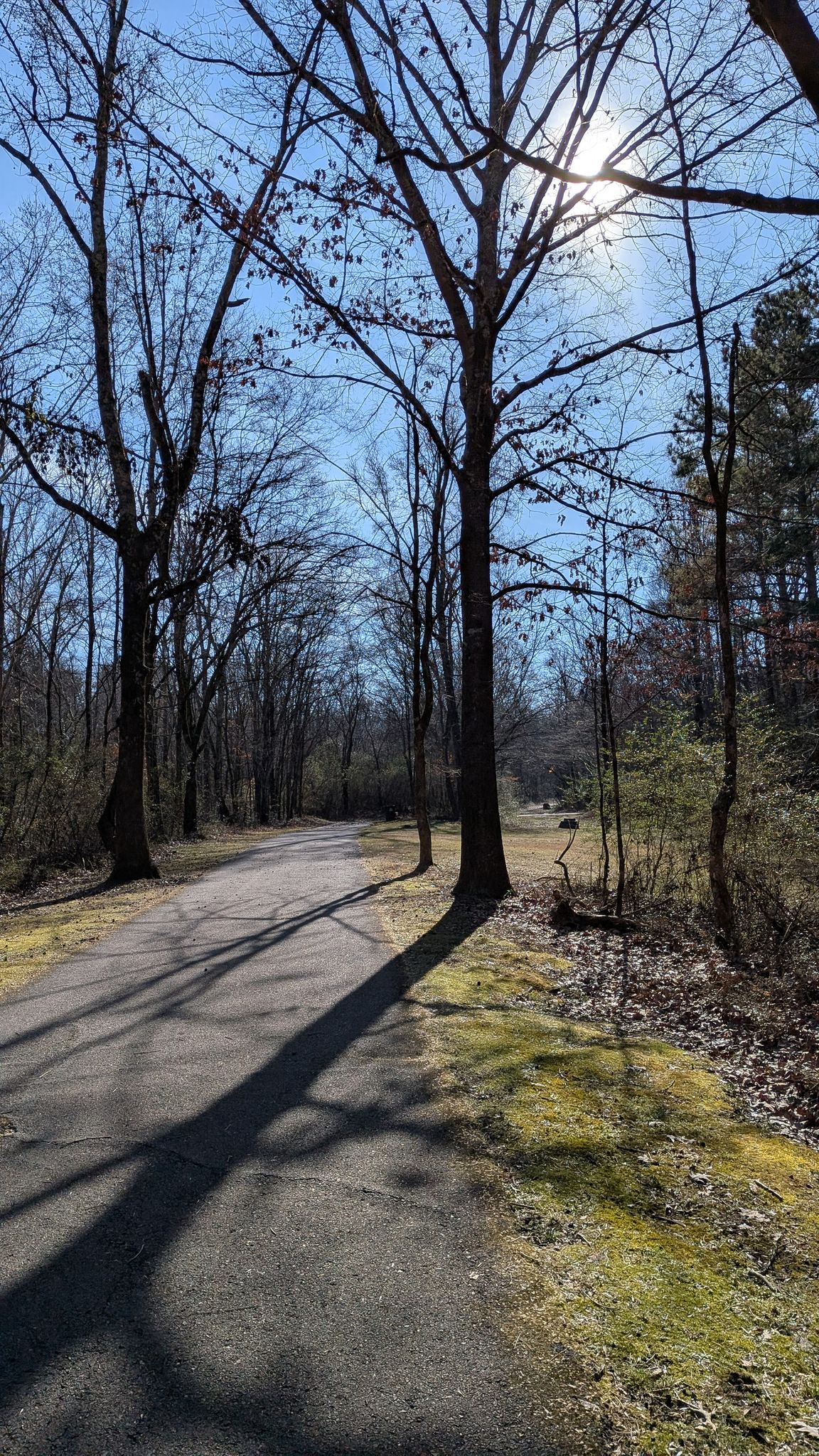 Paved path through bare trees with bright sun and long shadows. - Noah Bike Trail Loop