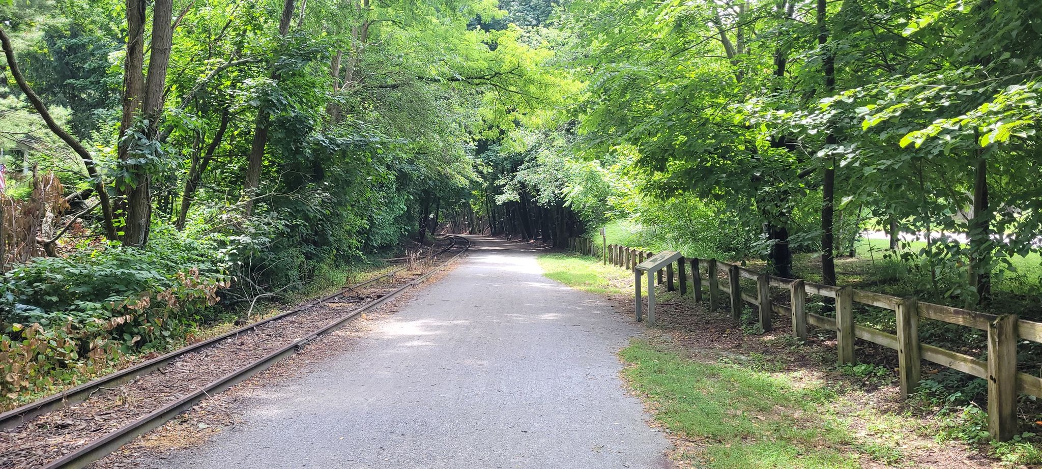 Gravel path and train tracks through a dense green forest. - Mason-Dixon Line – New Freedom loop from Freeland
