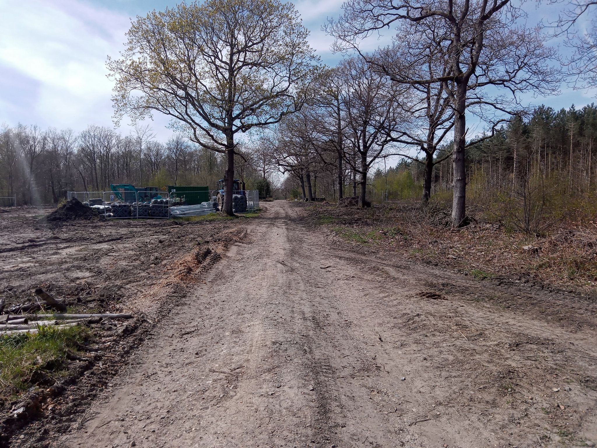 Bison Tunnel (Small Wood & Pond Wood)
