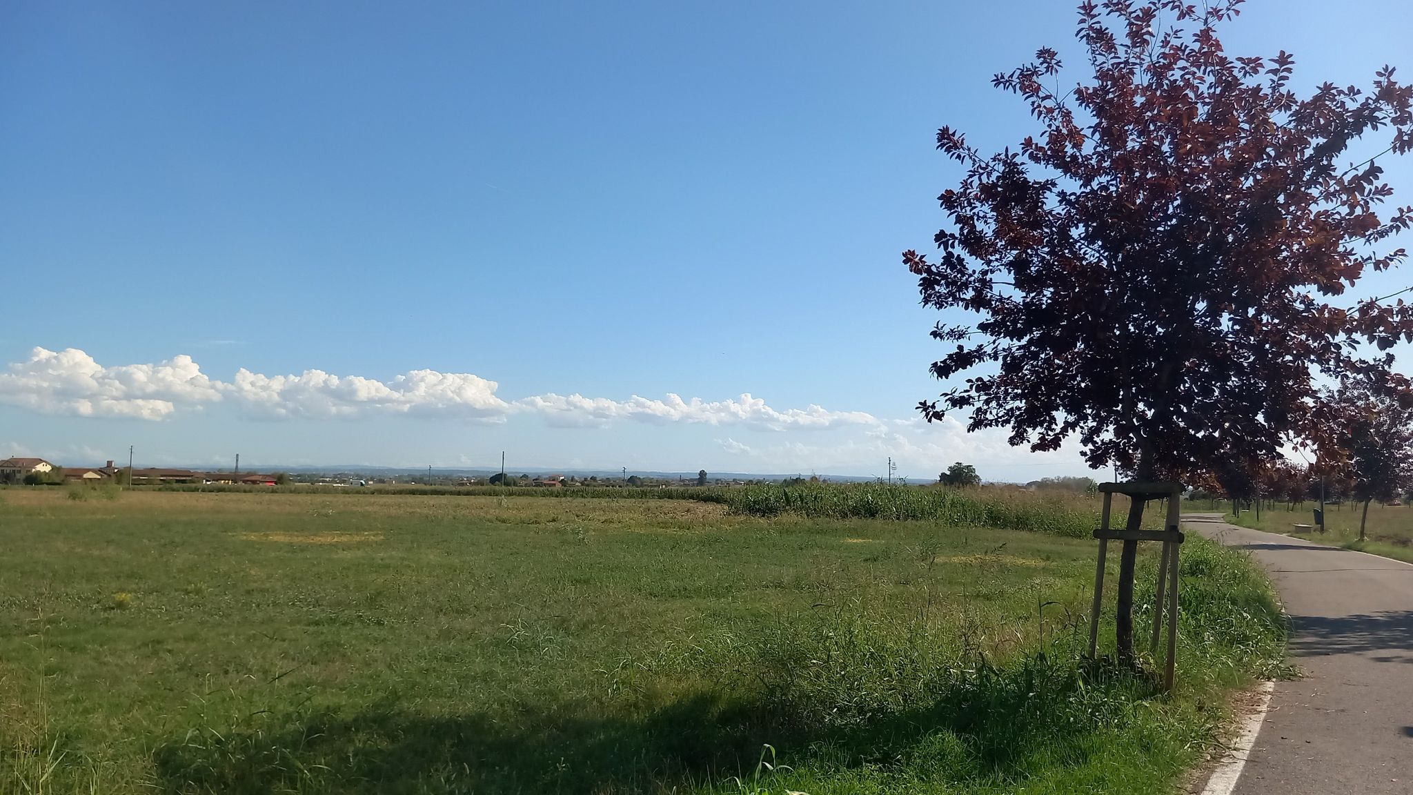 Ciclabile