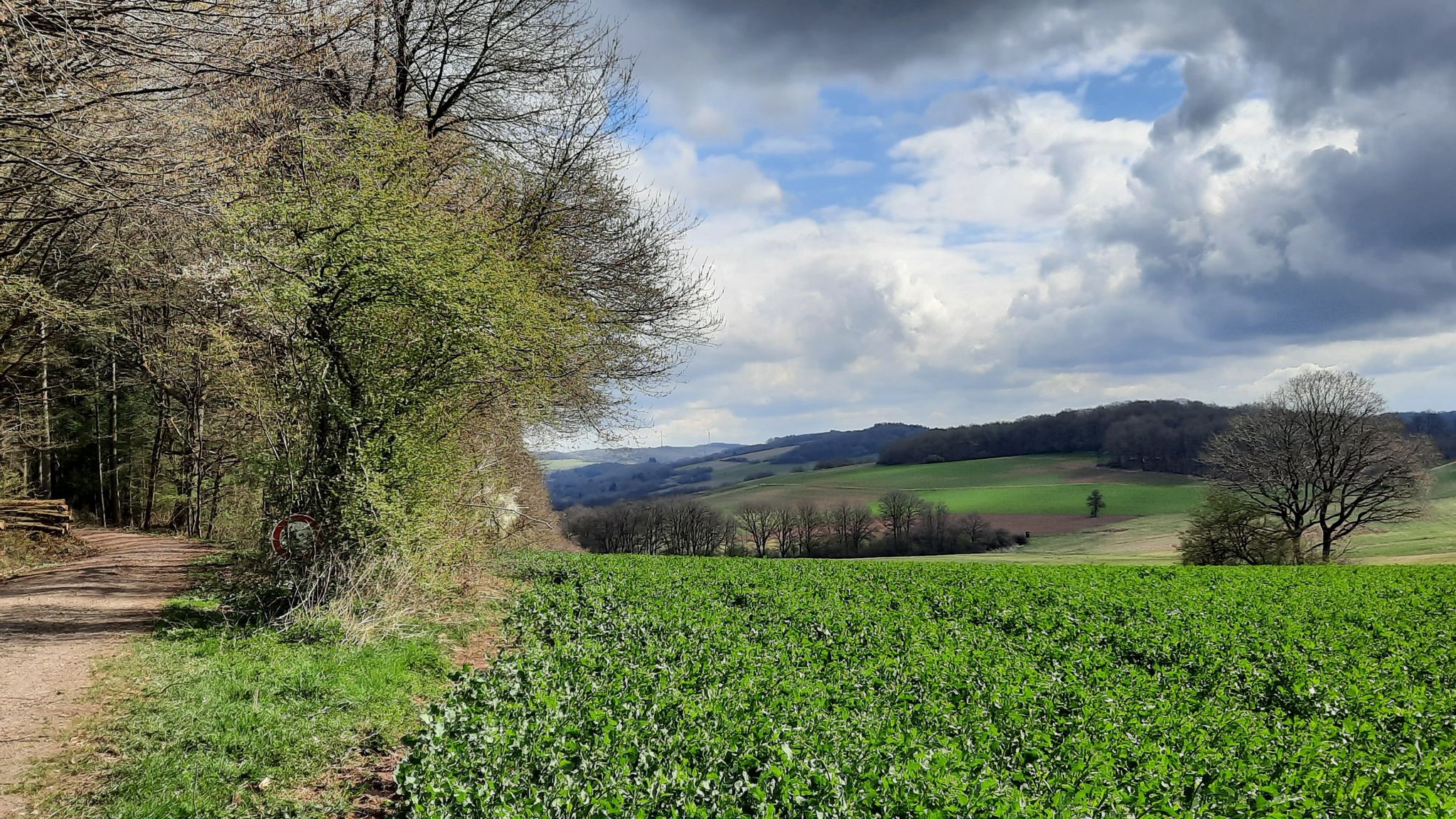 Panoramablick Sankt Wendeler Land