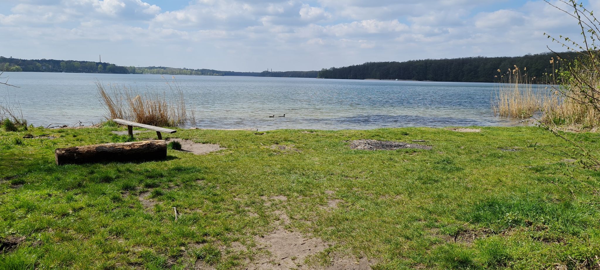Schöne Badestelle am Stienitzsee!