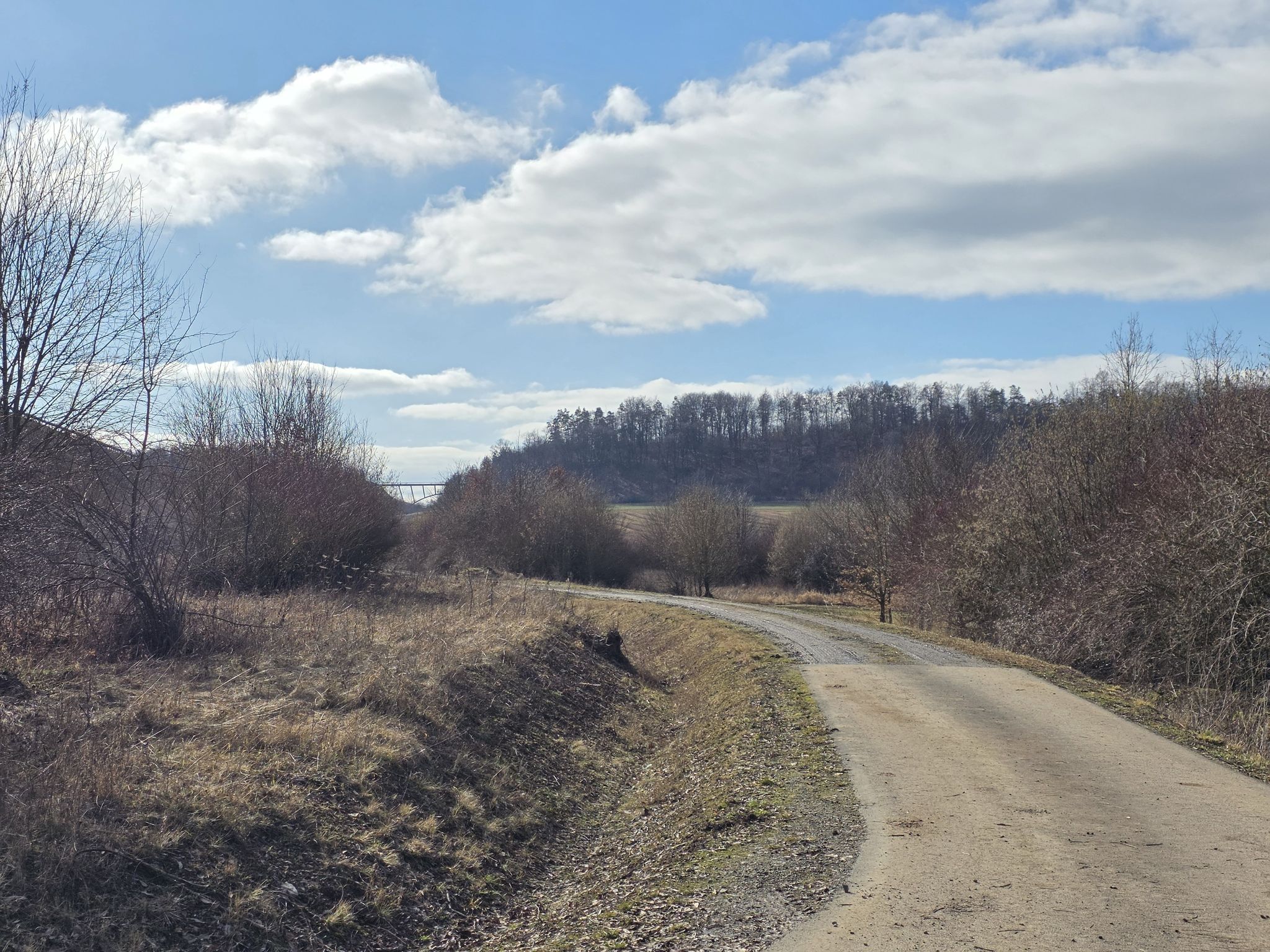 Blick auf den Büchelberg, da geht es gleich hoch