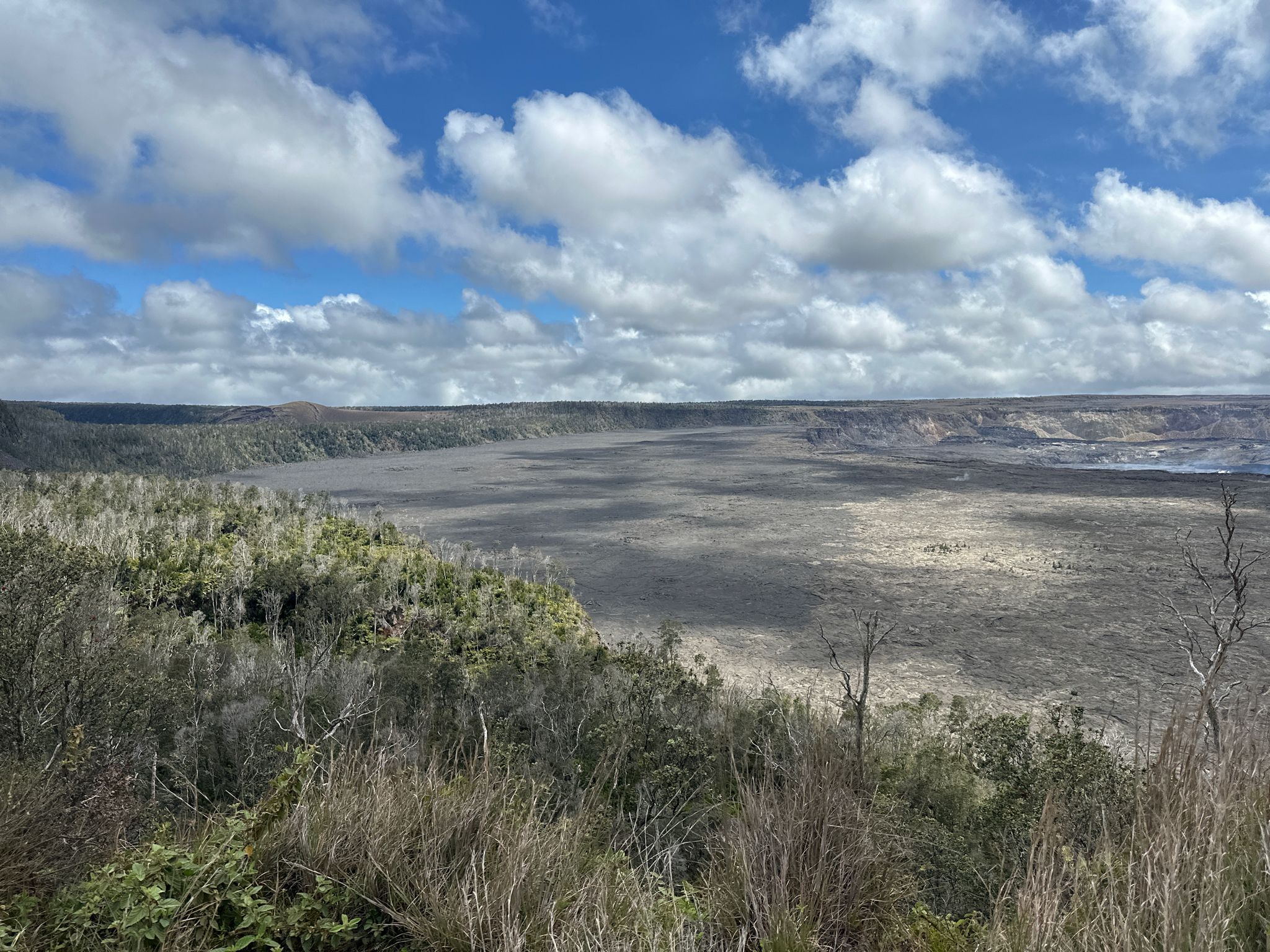 Expansive view of a dark volcanic crater floor surrounded by green vegetation. - Kīlauea Caldera North Overlook – Volcano House Hotel loop from Kilauea Military Camp