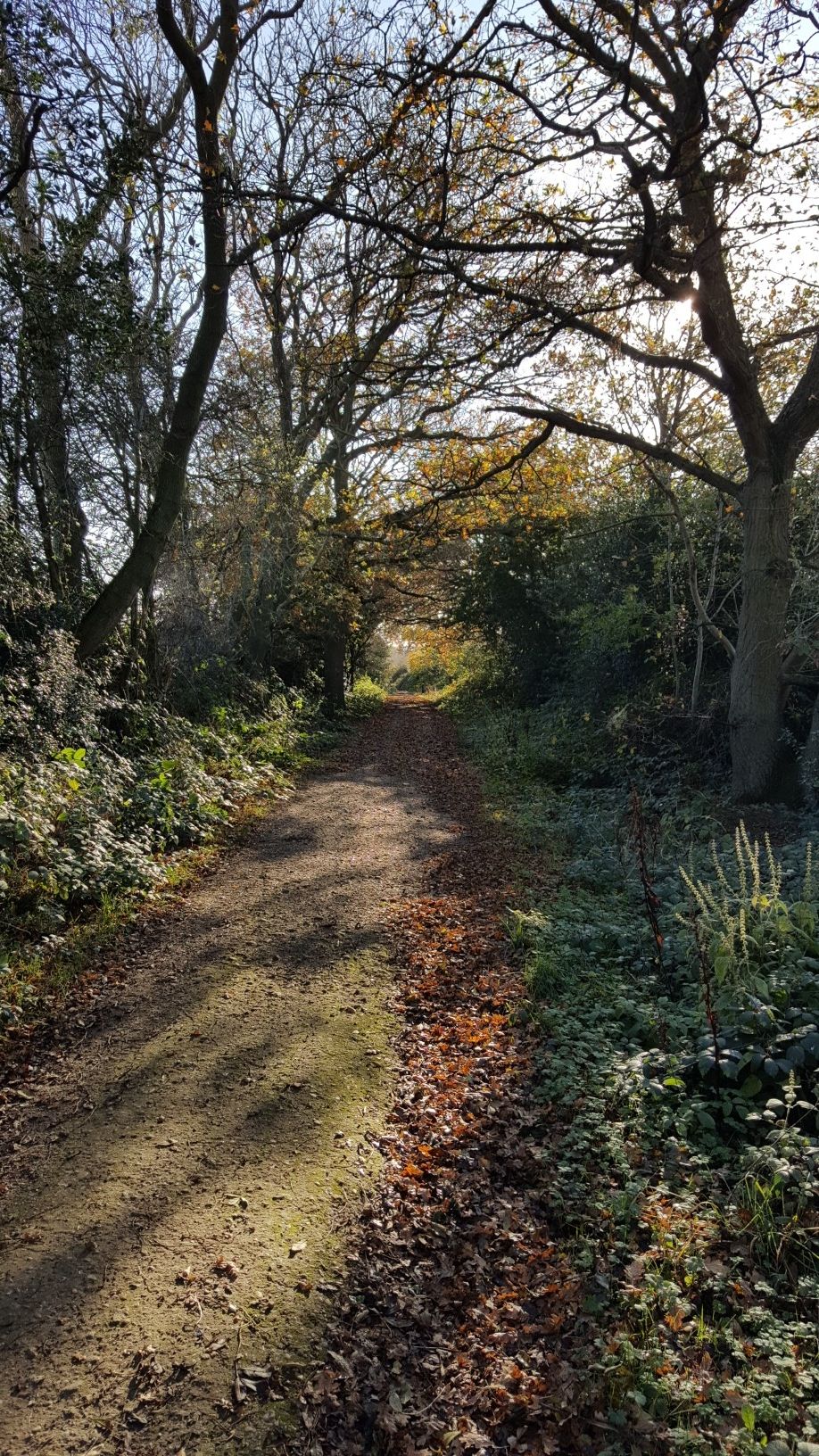 Dead Woman Lane