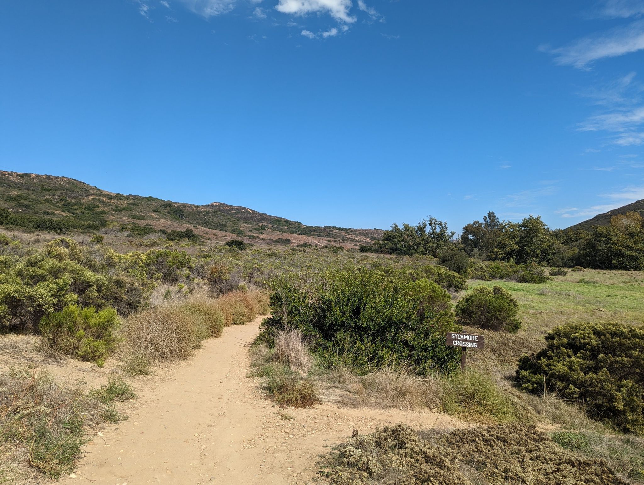 A dirt path winds through a sunny, brush-covered valley under a blue sky. - Los Peñasquitos Falls loop from Lopez Canyon