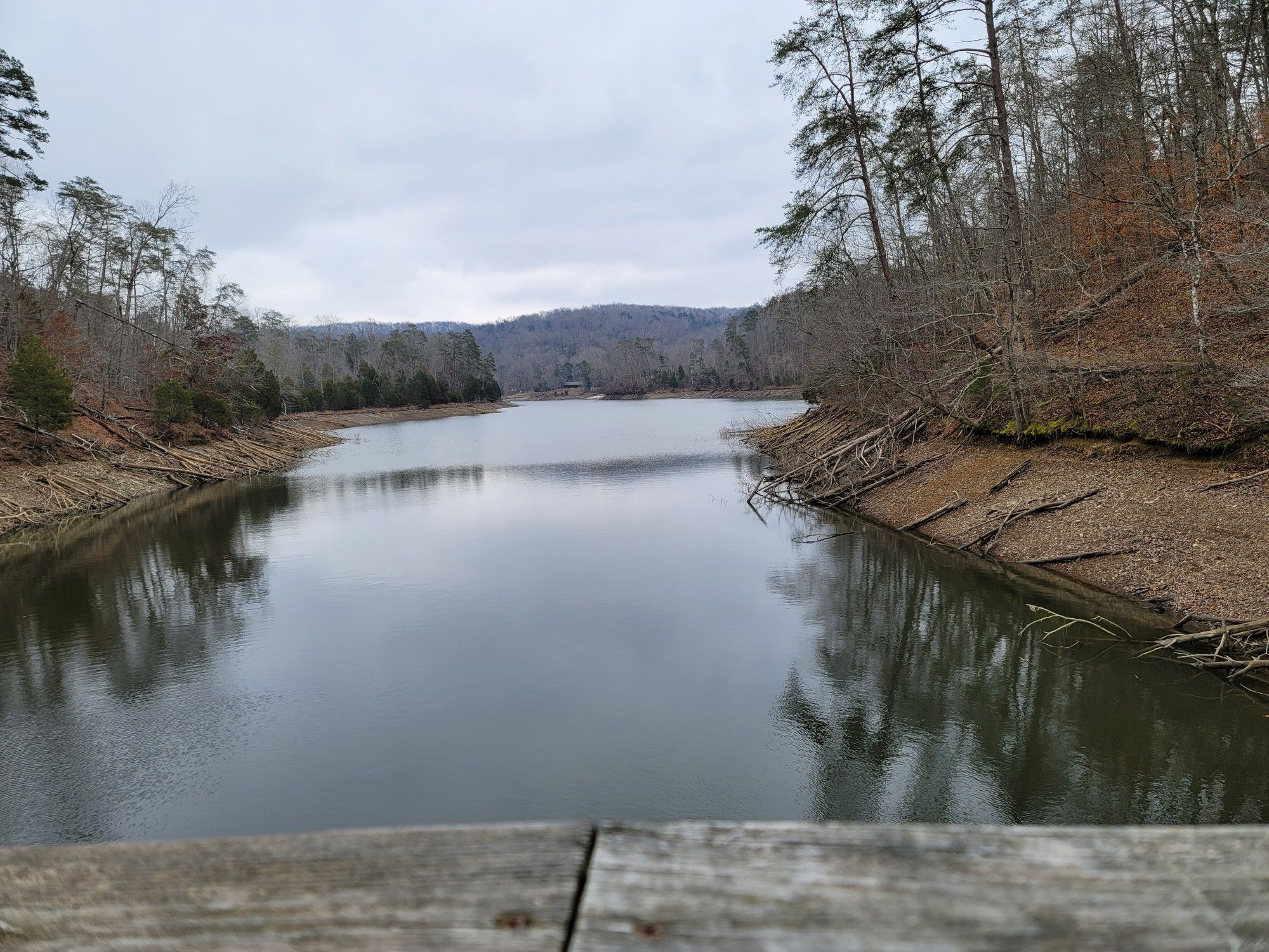 Wide view of a calm lake surrounded by bare trees and exposed banks. - Big Ridge Loop