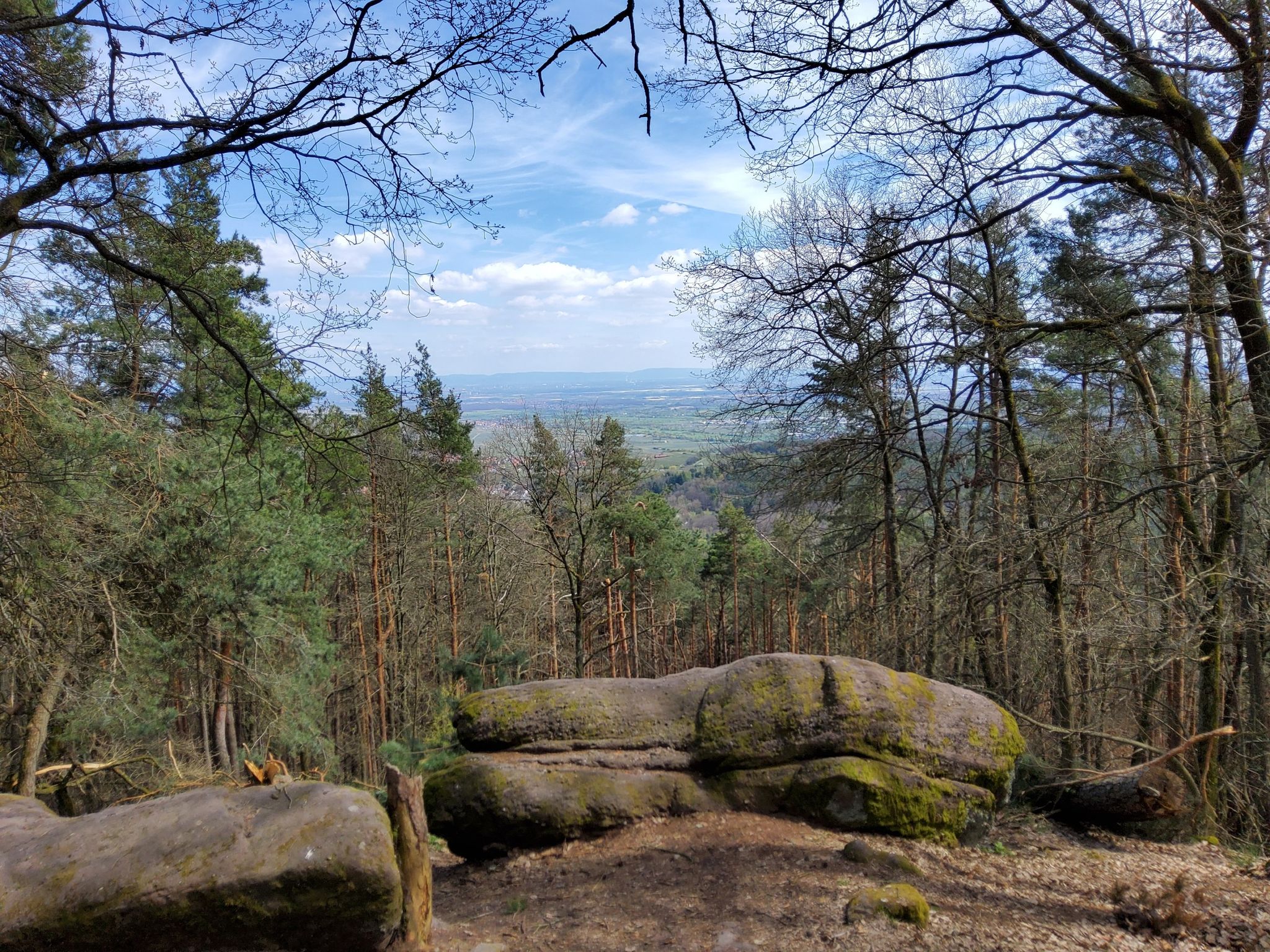 Ausblick bis zum Odenwald