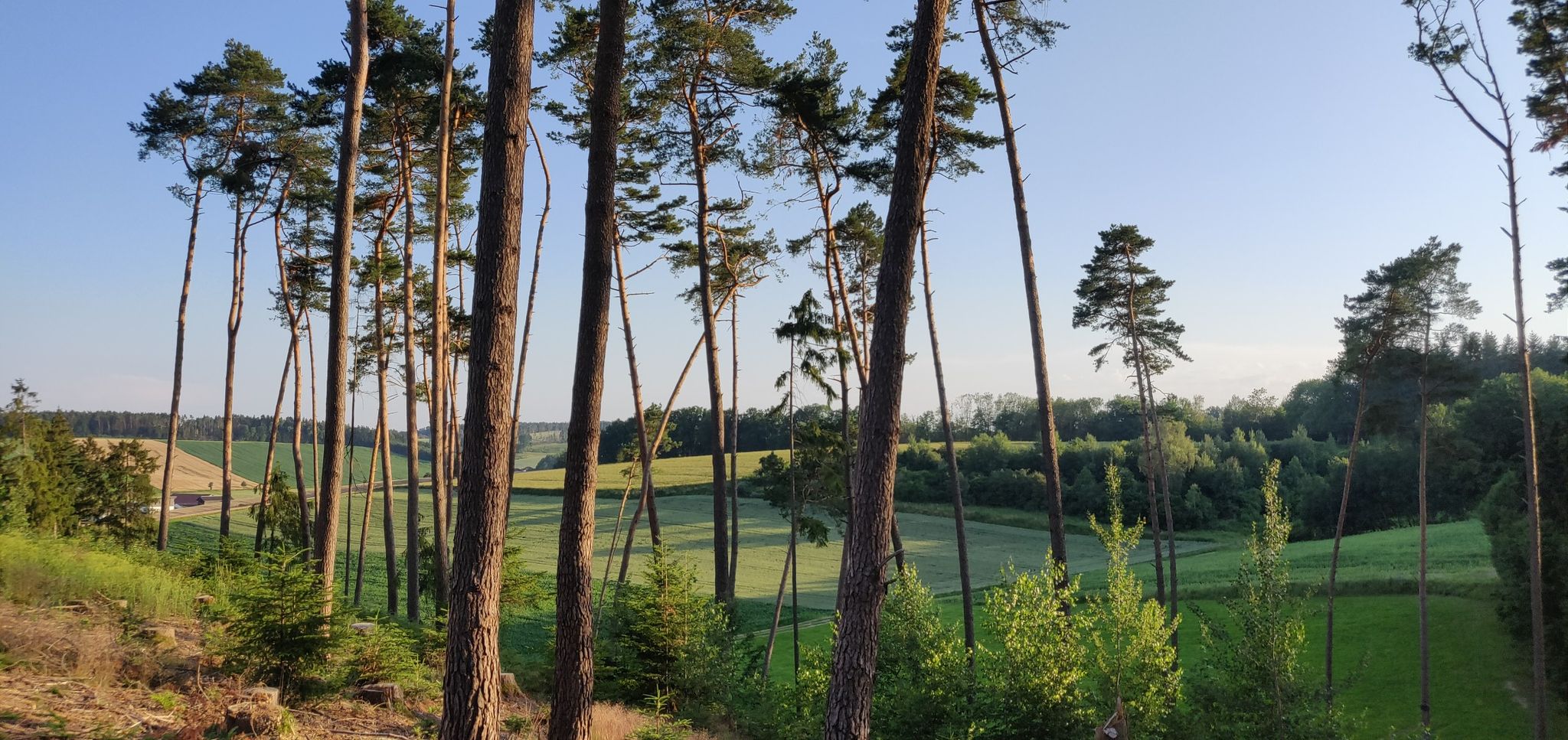 Aussicht
