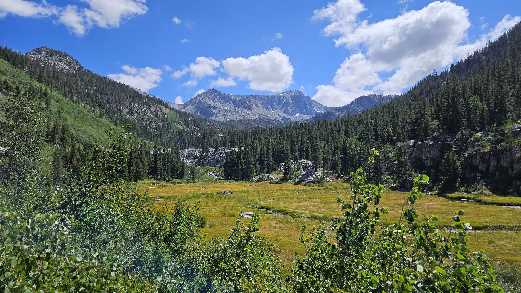 Sunny mountain valley with a golden meadow, forests, and distant peaks under blue sky. - Big McGee Lake