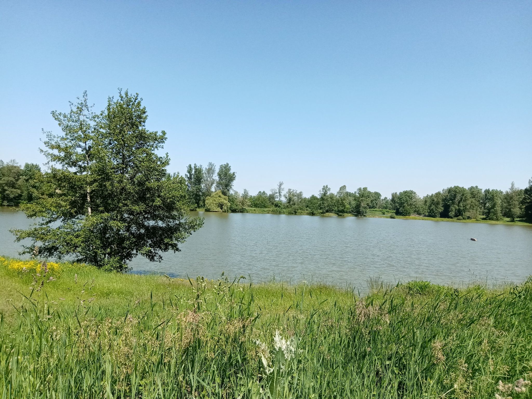 Plan d'eau de Murat 