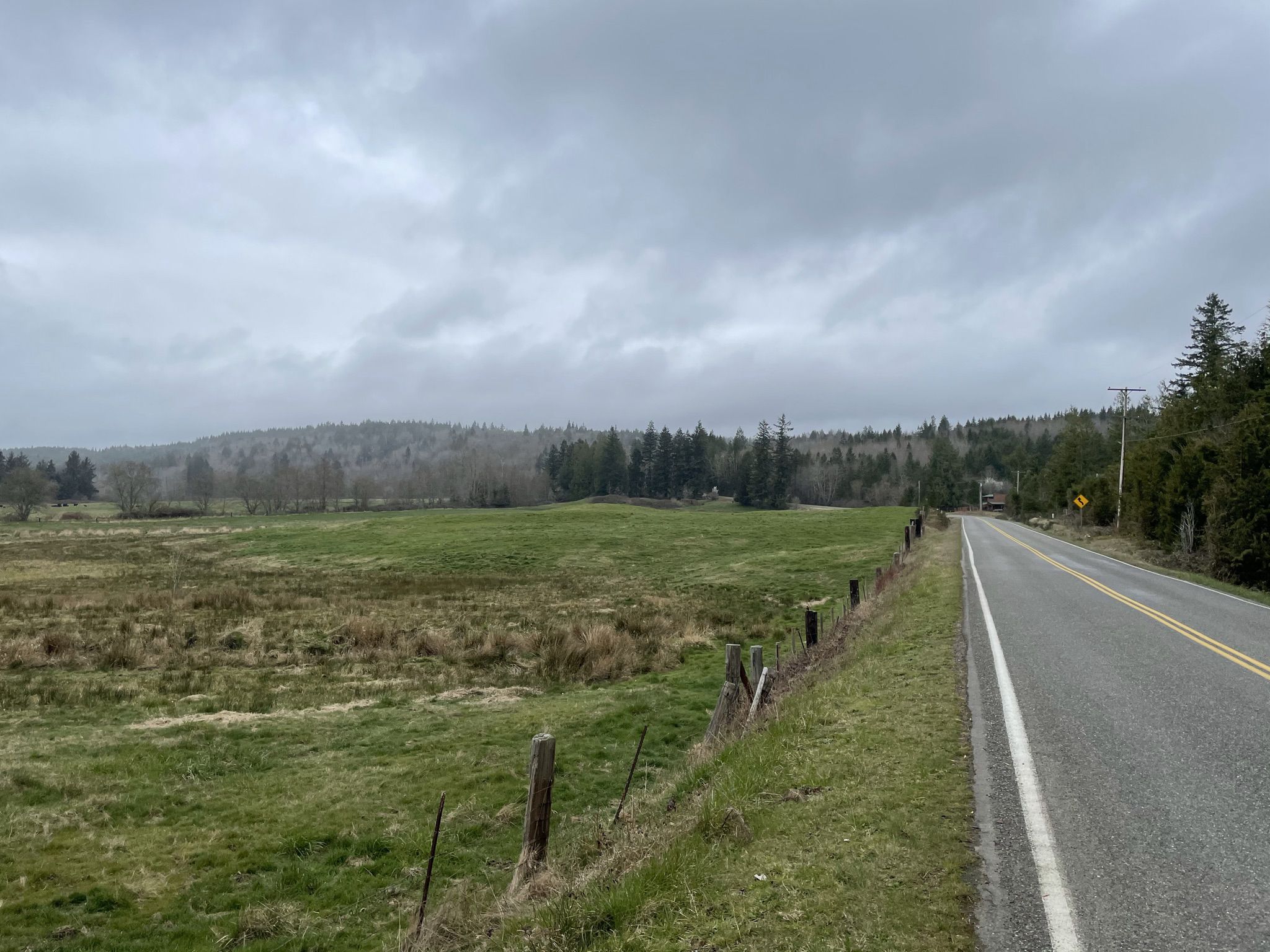 An empty road runs alongside a green field under an overcast sky. - Port Ludlow loop - Jefferson County, Washington