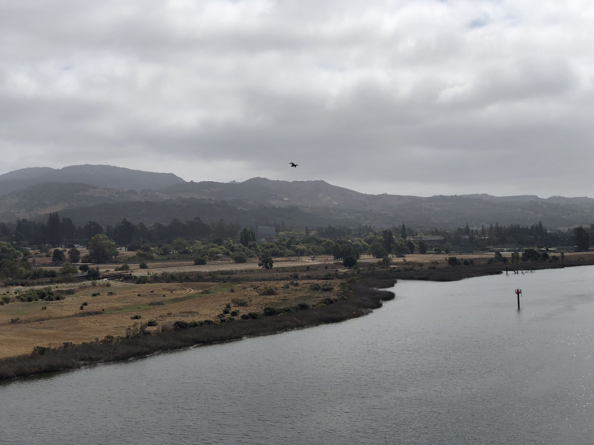 A wide river with marshy banks, distant mountains, and an overcast sky. - Napa's Main Street – Sonoma Plaza loop from Napa
