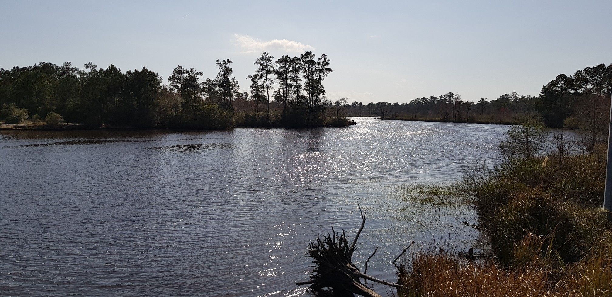 Wide river with forested banks and small islands under a bright sky. - Cool bridge on the path loop from Chinchuba Cemetery