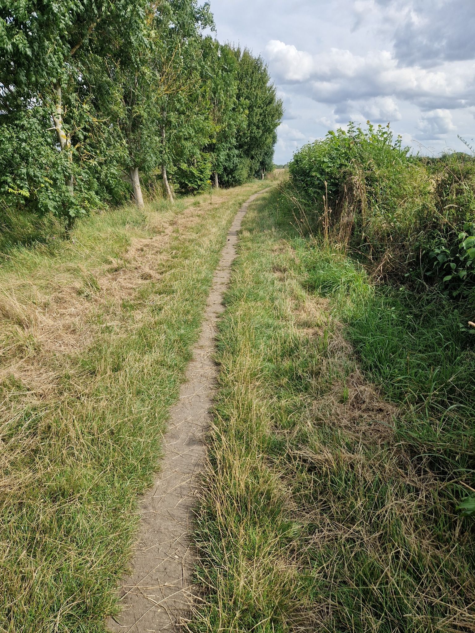 Grassy track