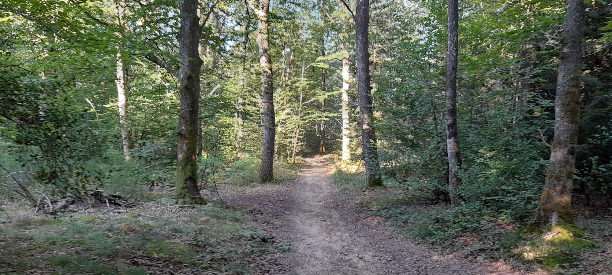 op de kruising rechts af