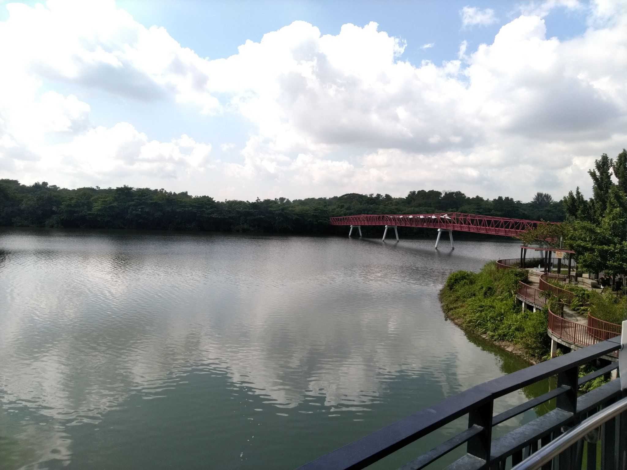 Sunrise Bridge Overlooking Lorong Halus Bridge