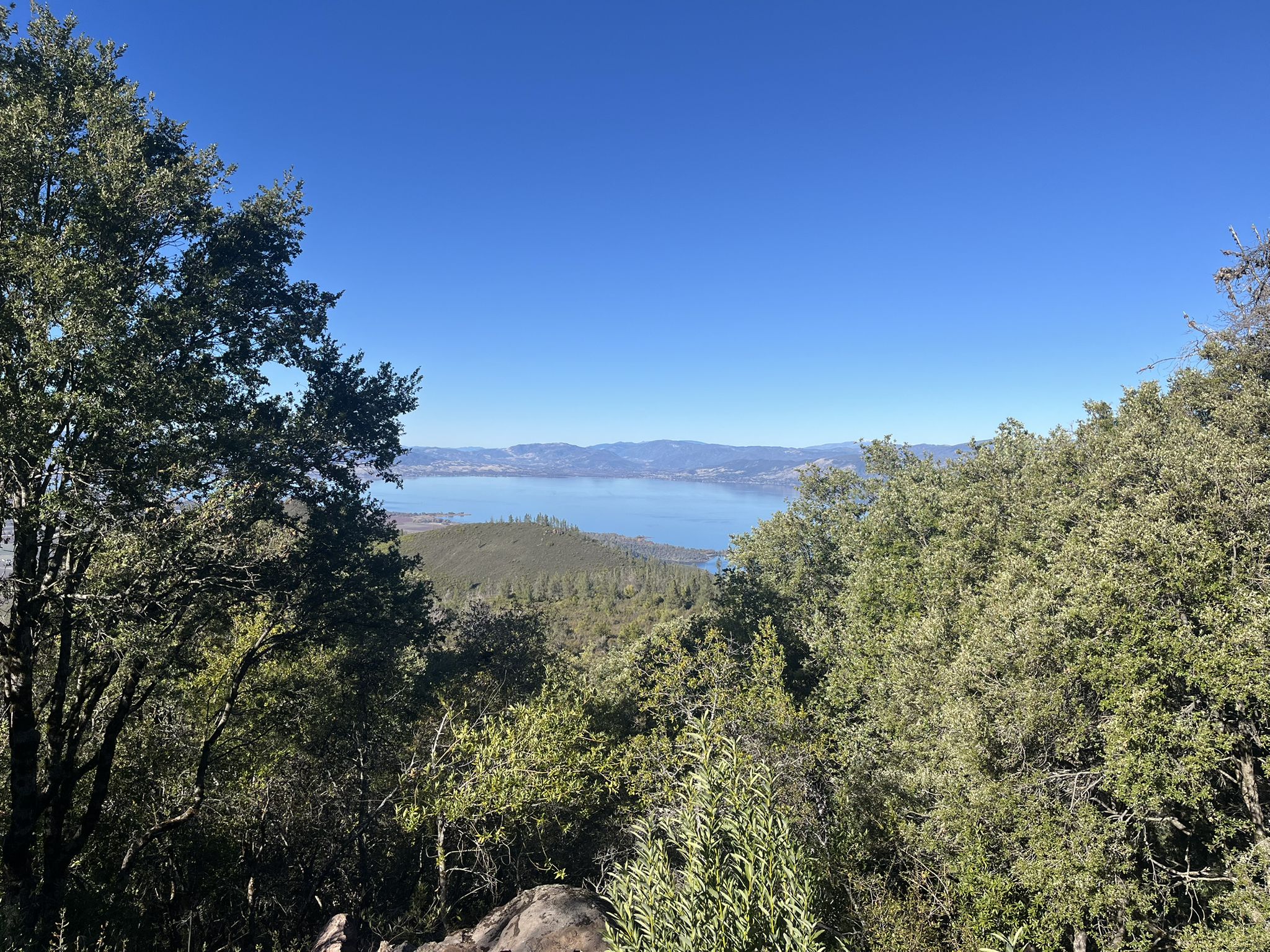 Bright view of a large lake framed by green trees and distant mountains. - Wright Peak