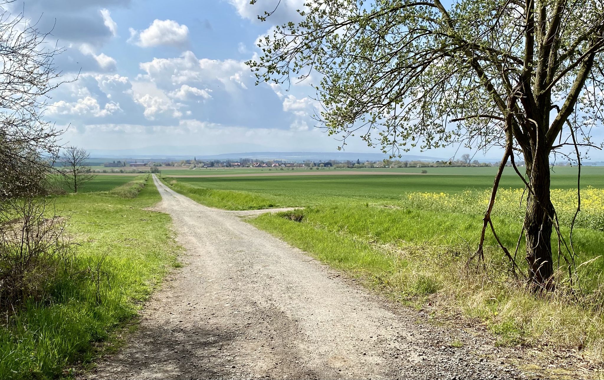 Blick das Vorderbein hinab
