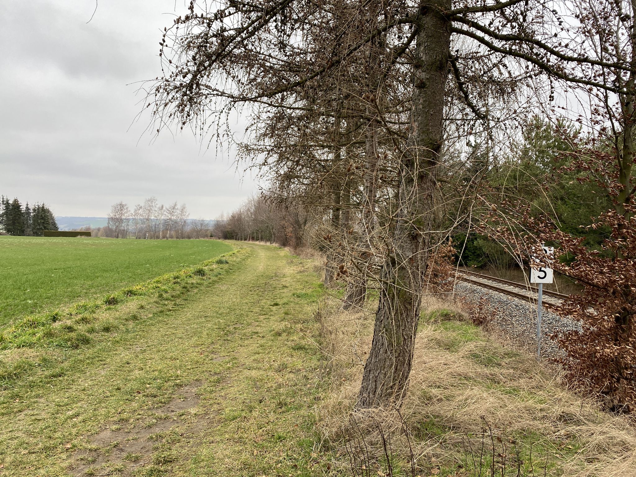 Schöner Weg an der Bahn