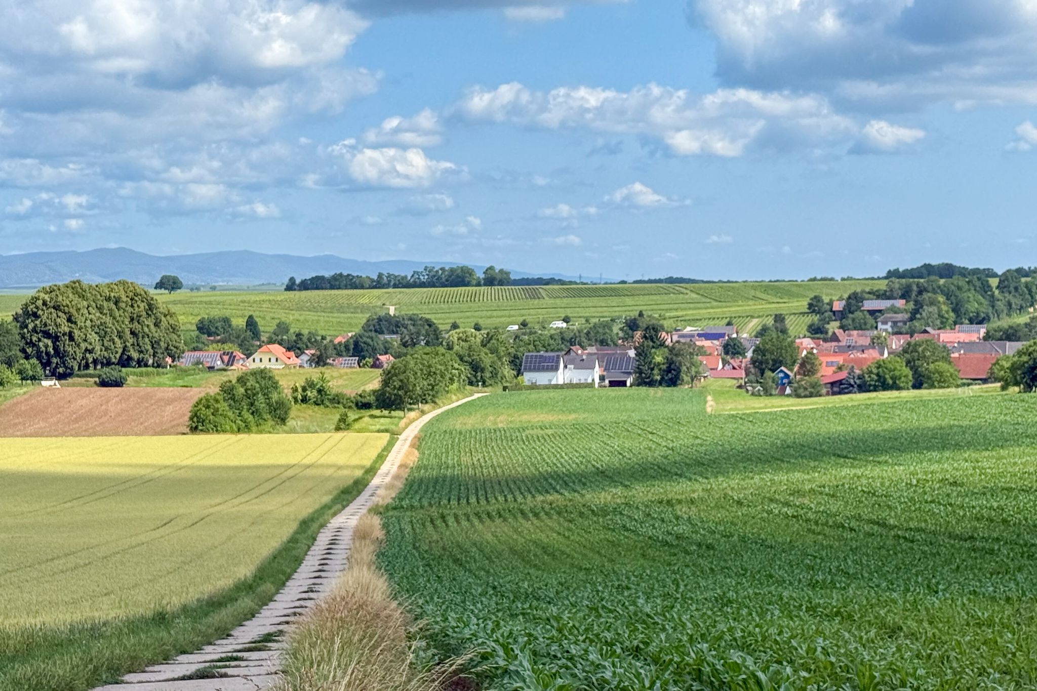 Dierbach