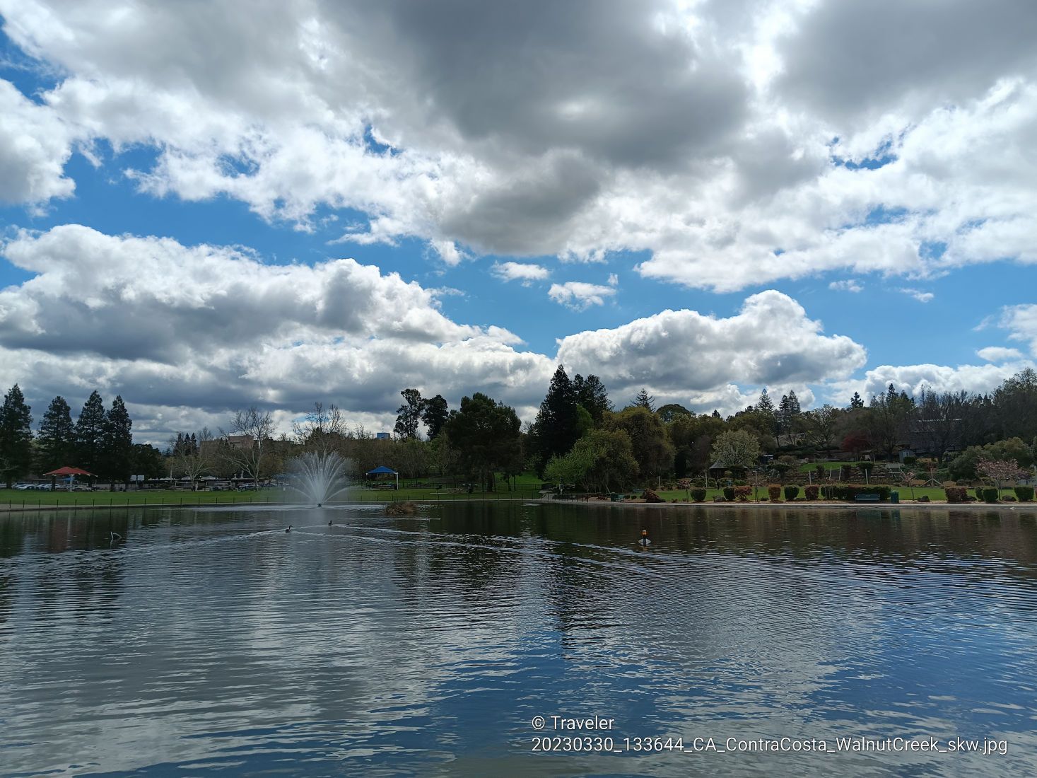 A lake with a fountain under a partly cloudy sky, surrounded by trees. - Heather Farm Loop