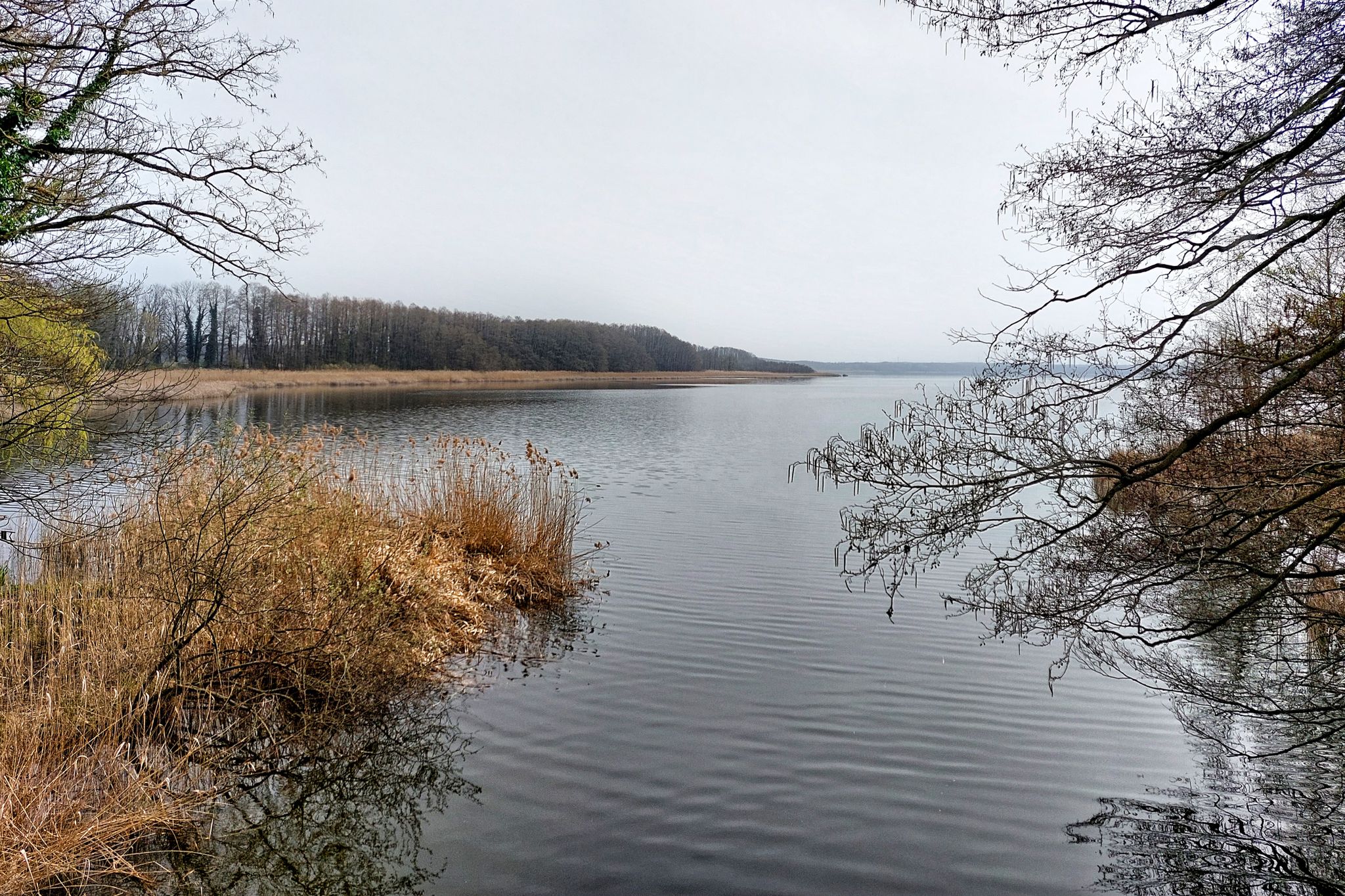Mellensee
