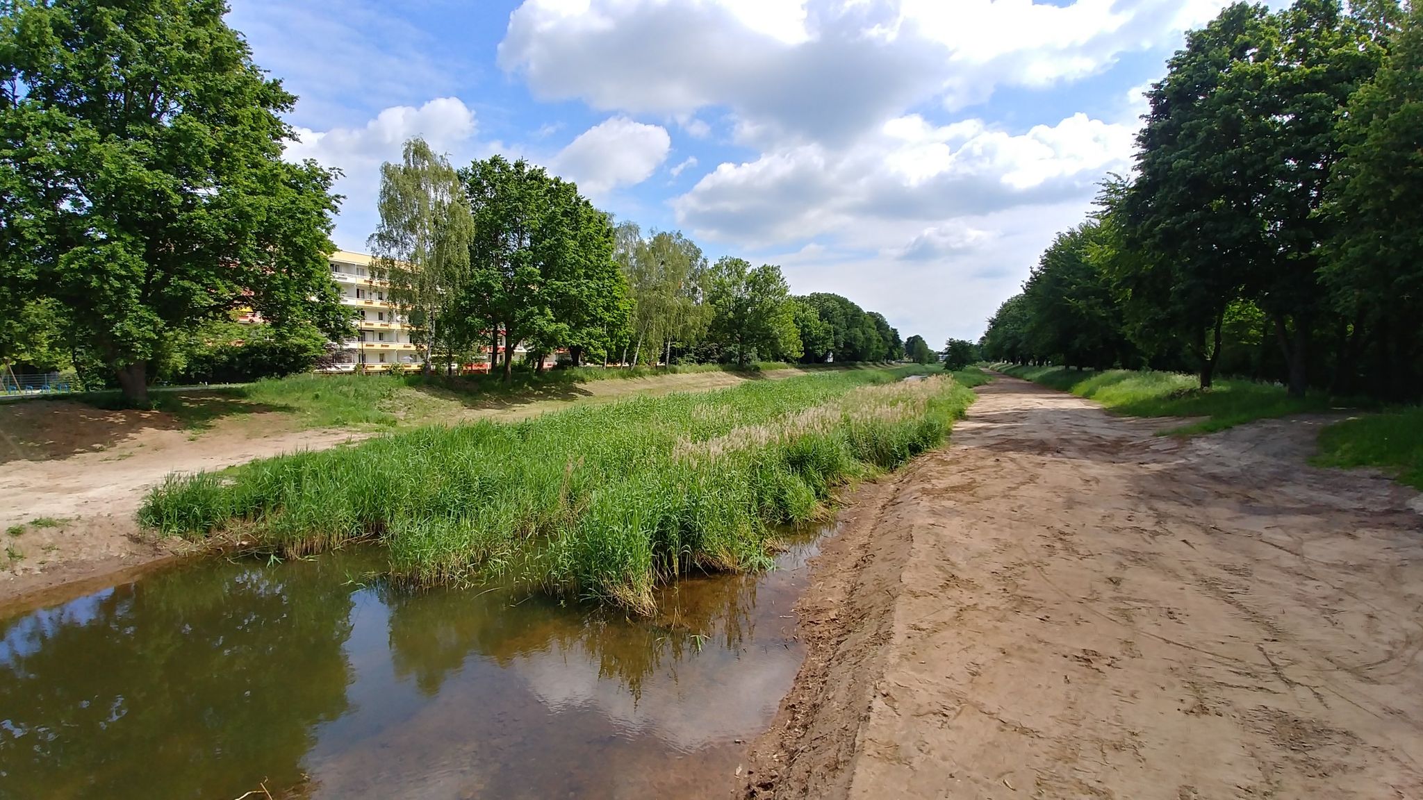Schwarze Elster in Senftenberg