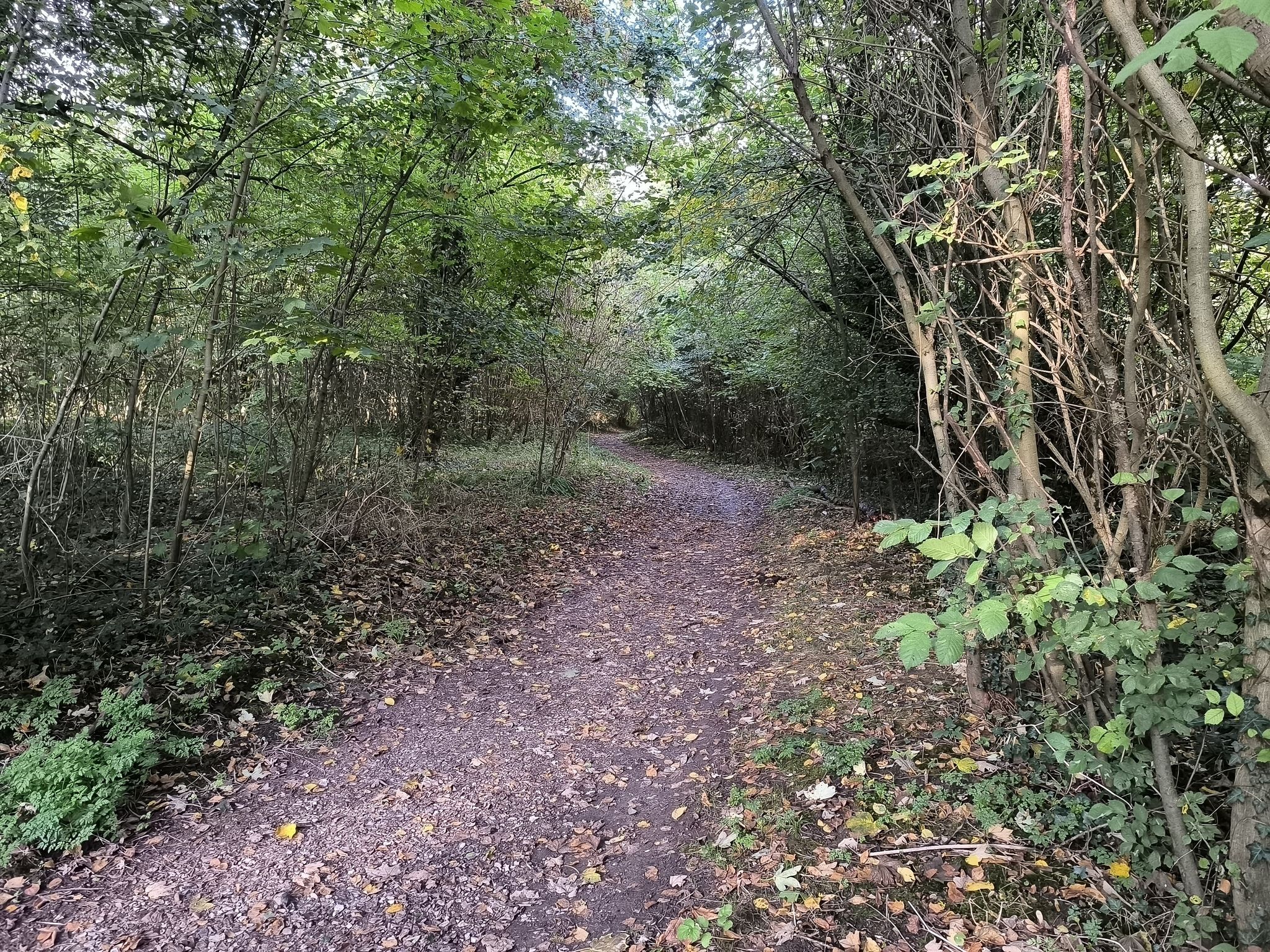-> Son sentier du "British Cemetery Little Vimy 🍁".