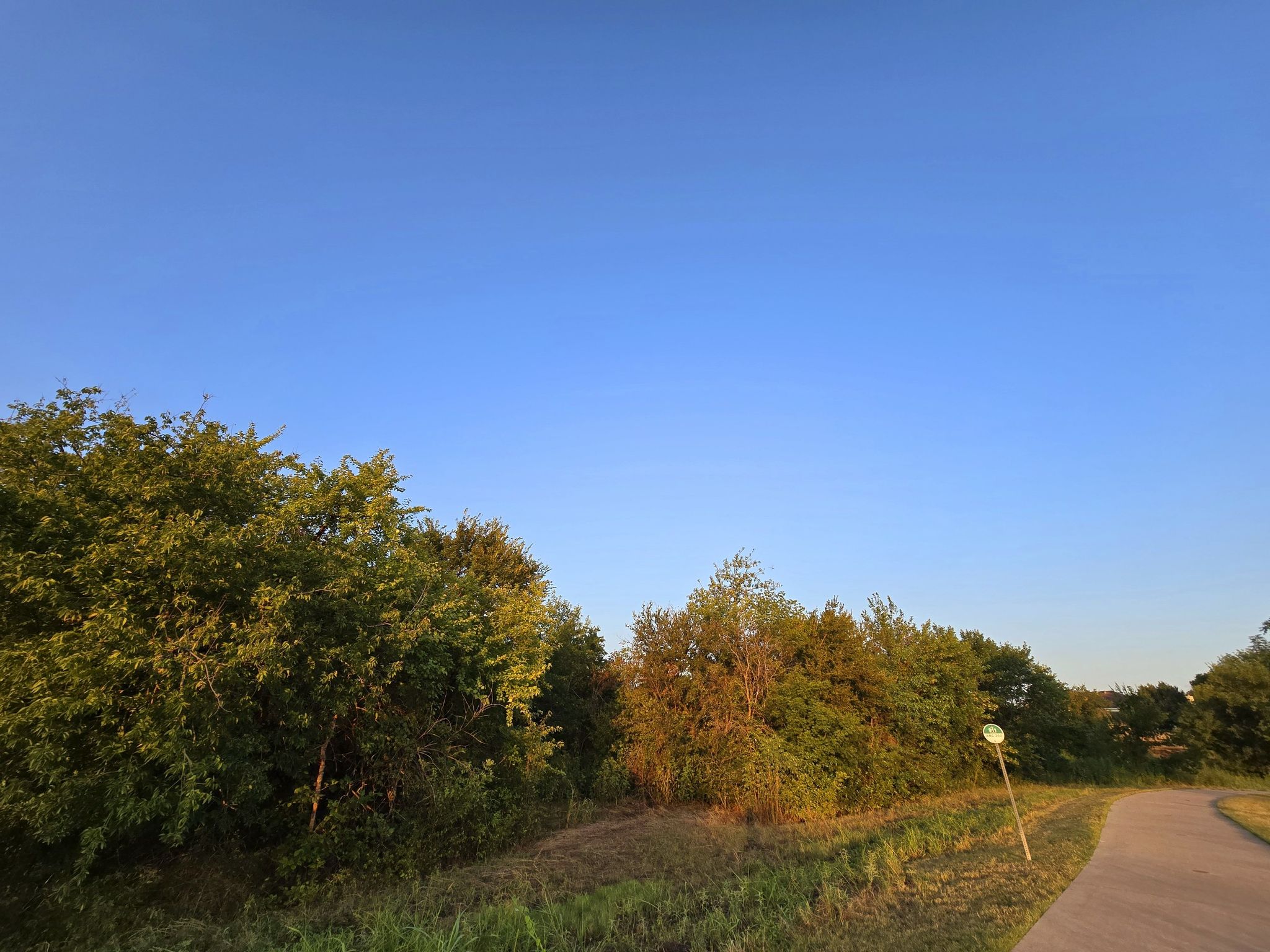 Golden hour light illuminates green bushes and a paved path under a clear sky. - Arcadia Trail Loop