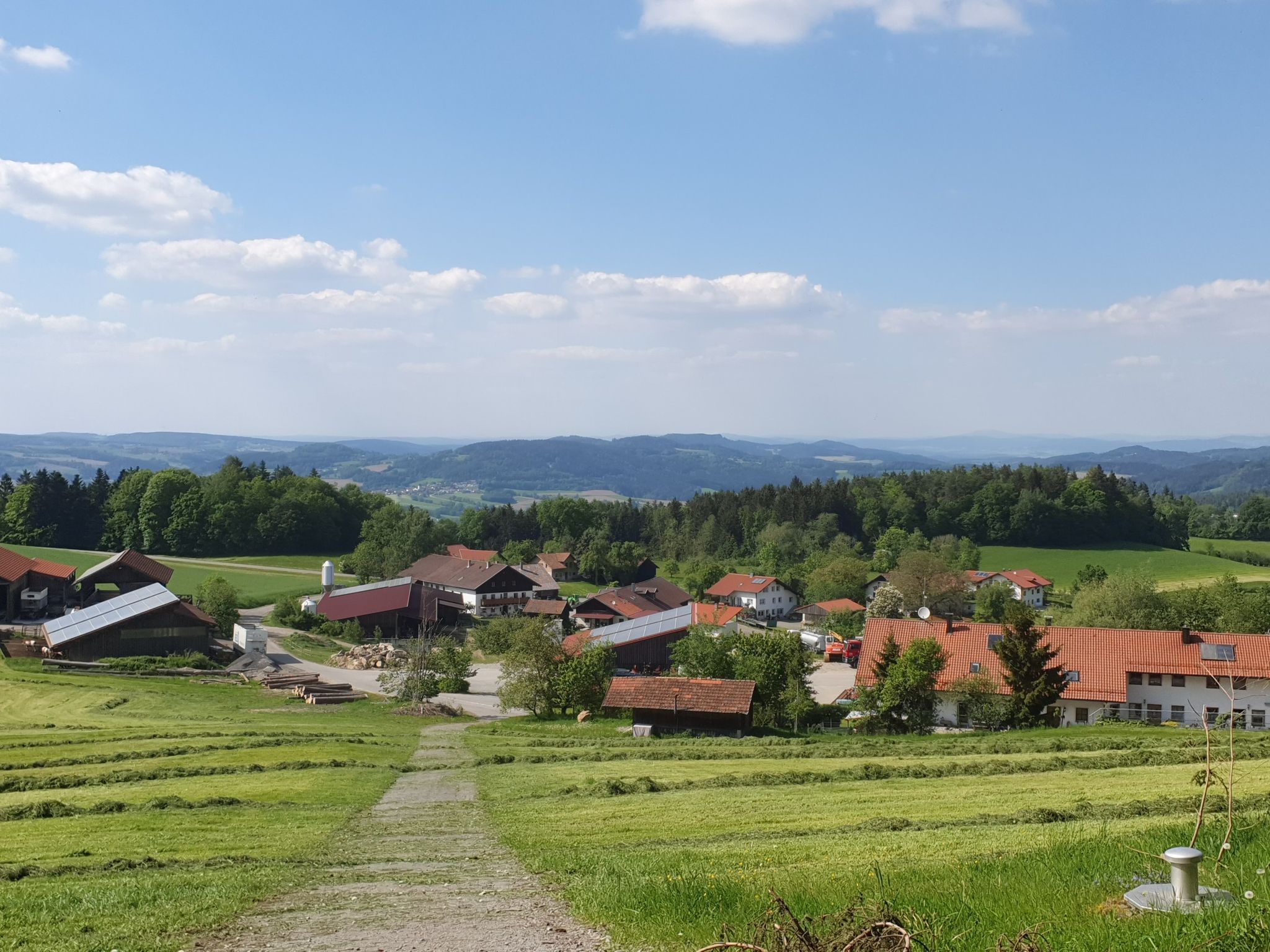 Forsting am Fuß des Gallner