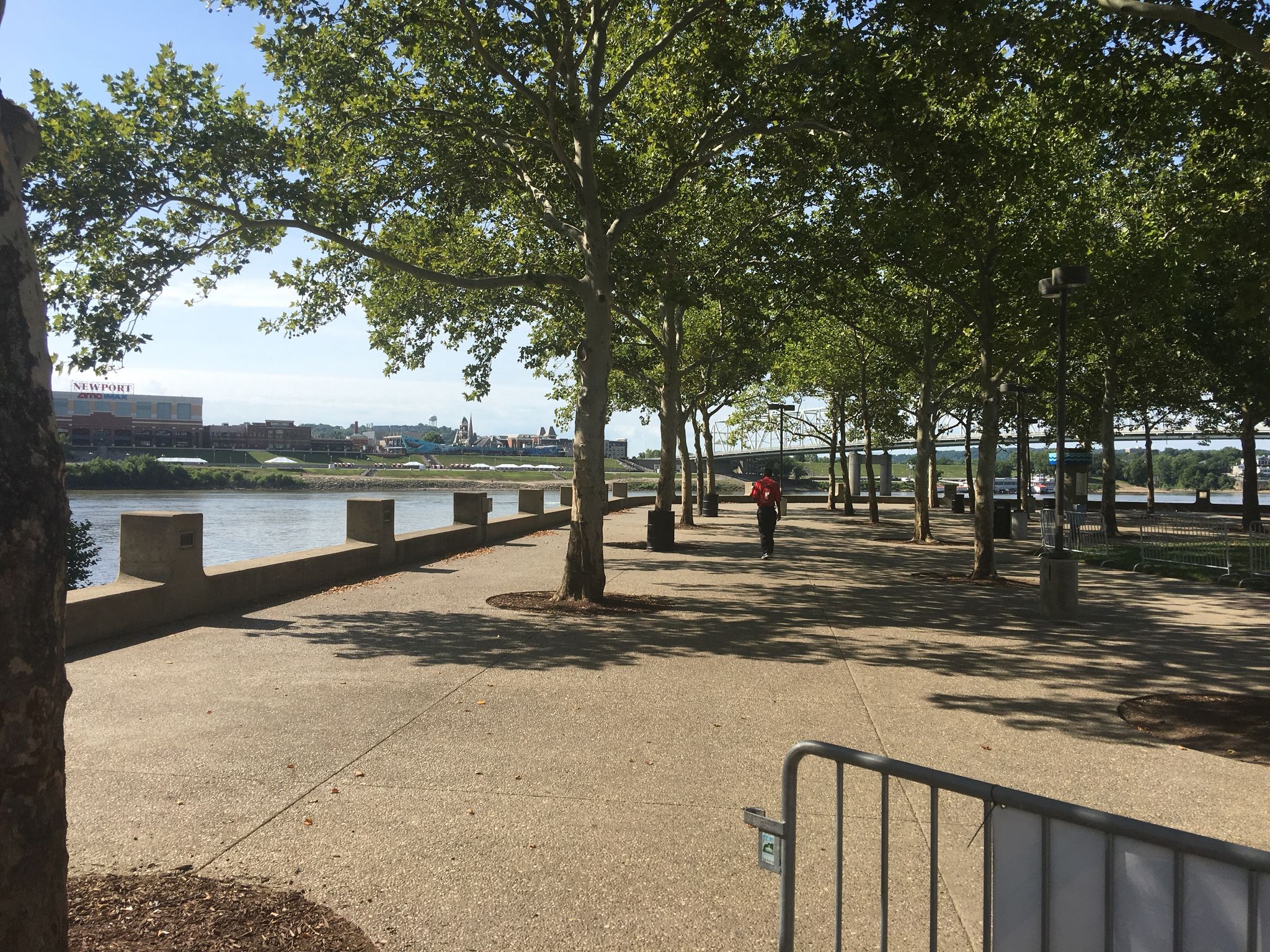 A person walks on a shaded riverside path lined with green trees. - Cincinnati Flying Pig Statues – Ohio River Trail loop from Cincinnati Union Terminal