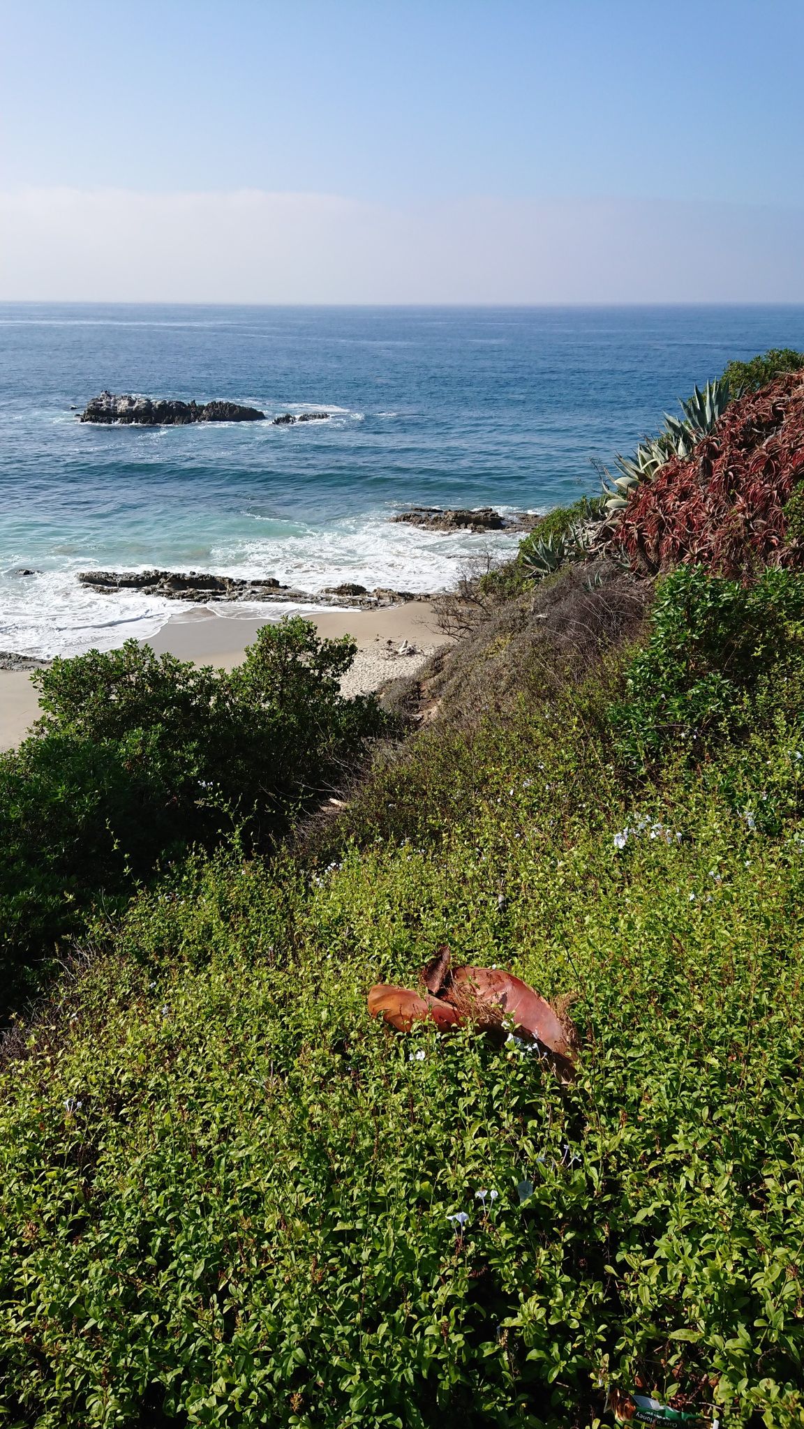 Sunny coastal view with green cliffs, sandy beach, blue ocean, and distant people. - Main Beach to Crescent Bay Point Park 5k