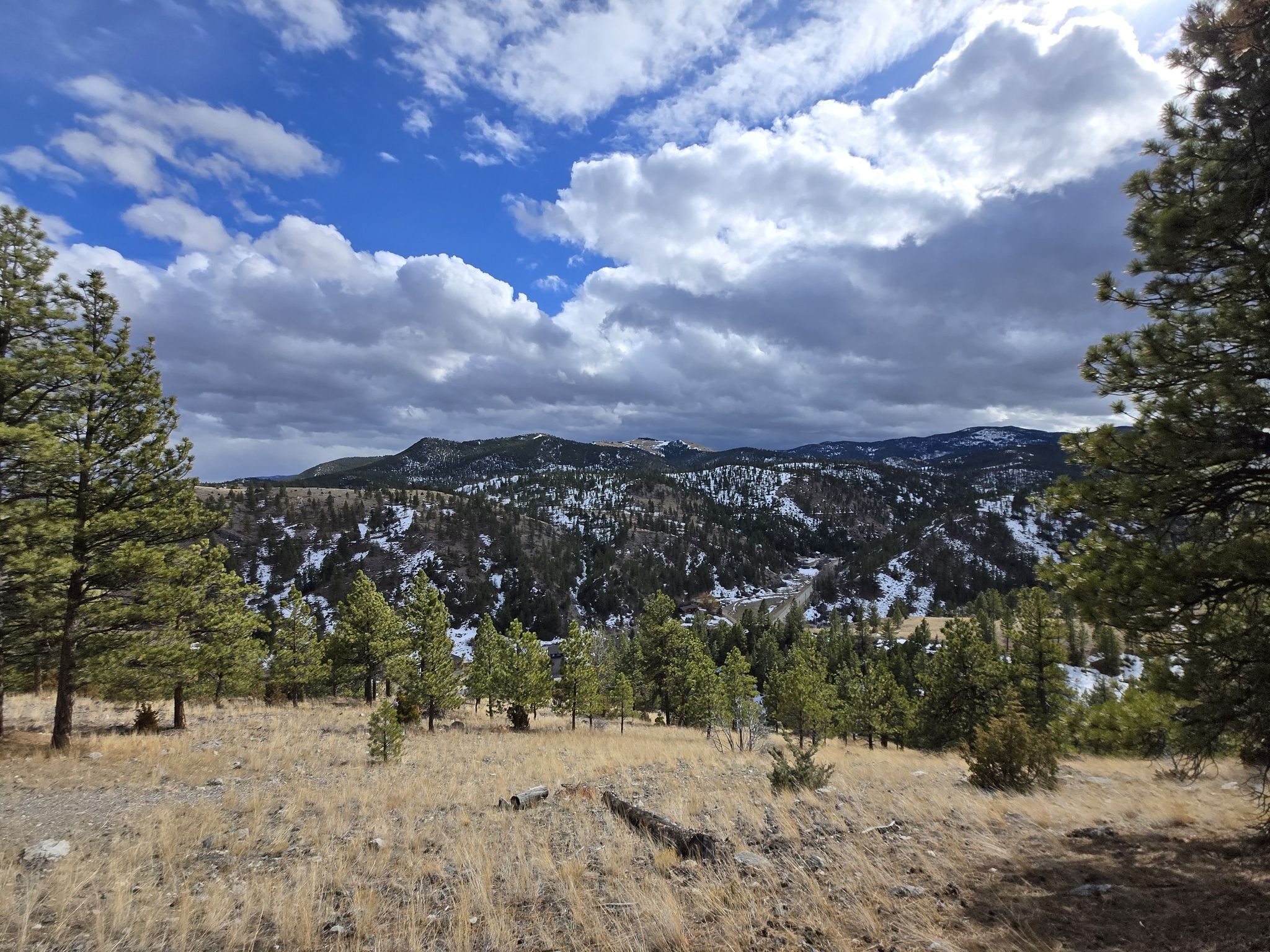 Snow-dusted mountains under a partly cloudy sky, seen from a forested hillside. - Outer Mount Helena loop