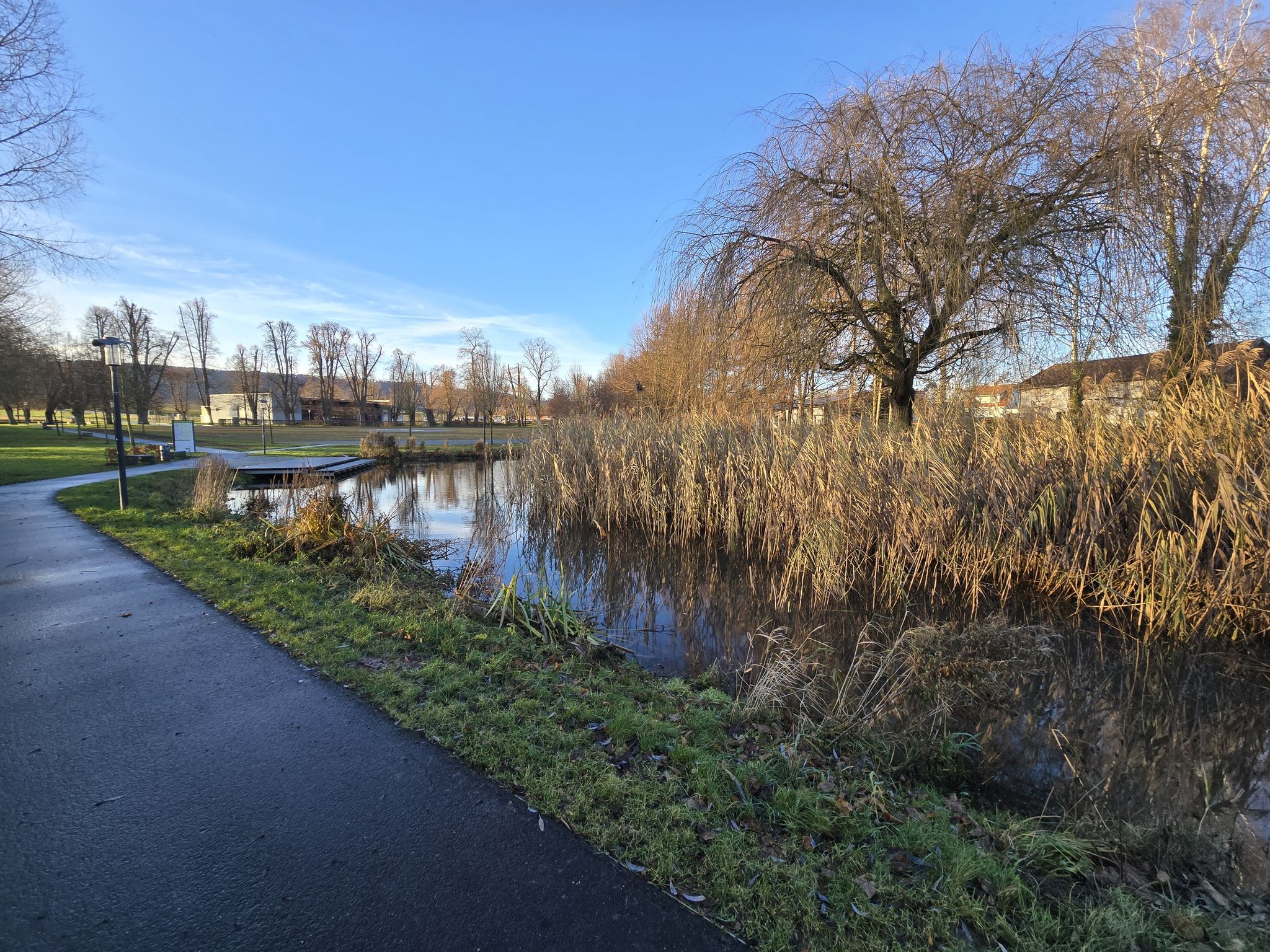 Lindenplatz Teich
