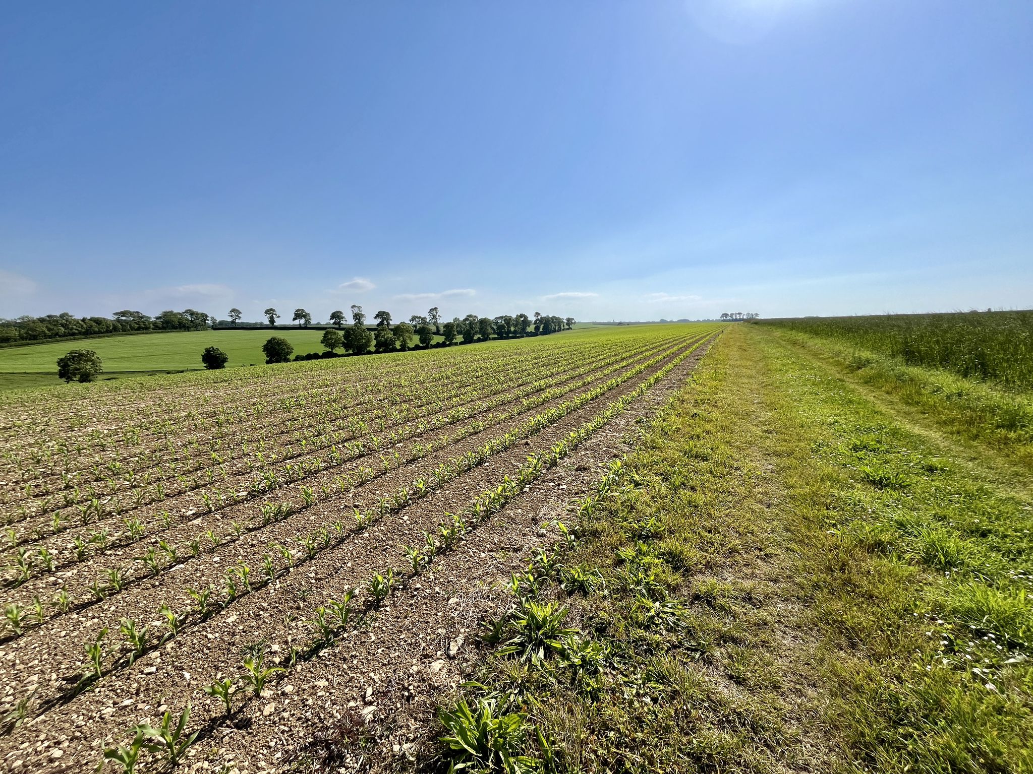 A little rural track to get back to the base camp in Cahagnolles.