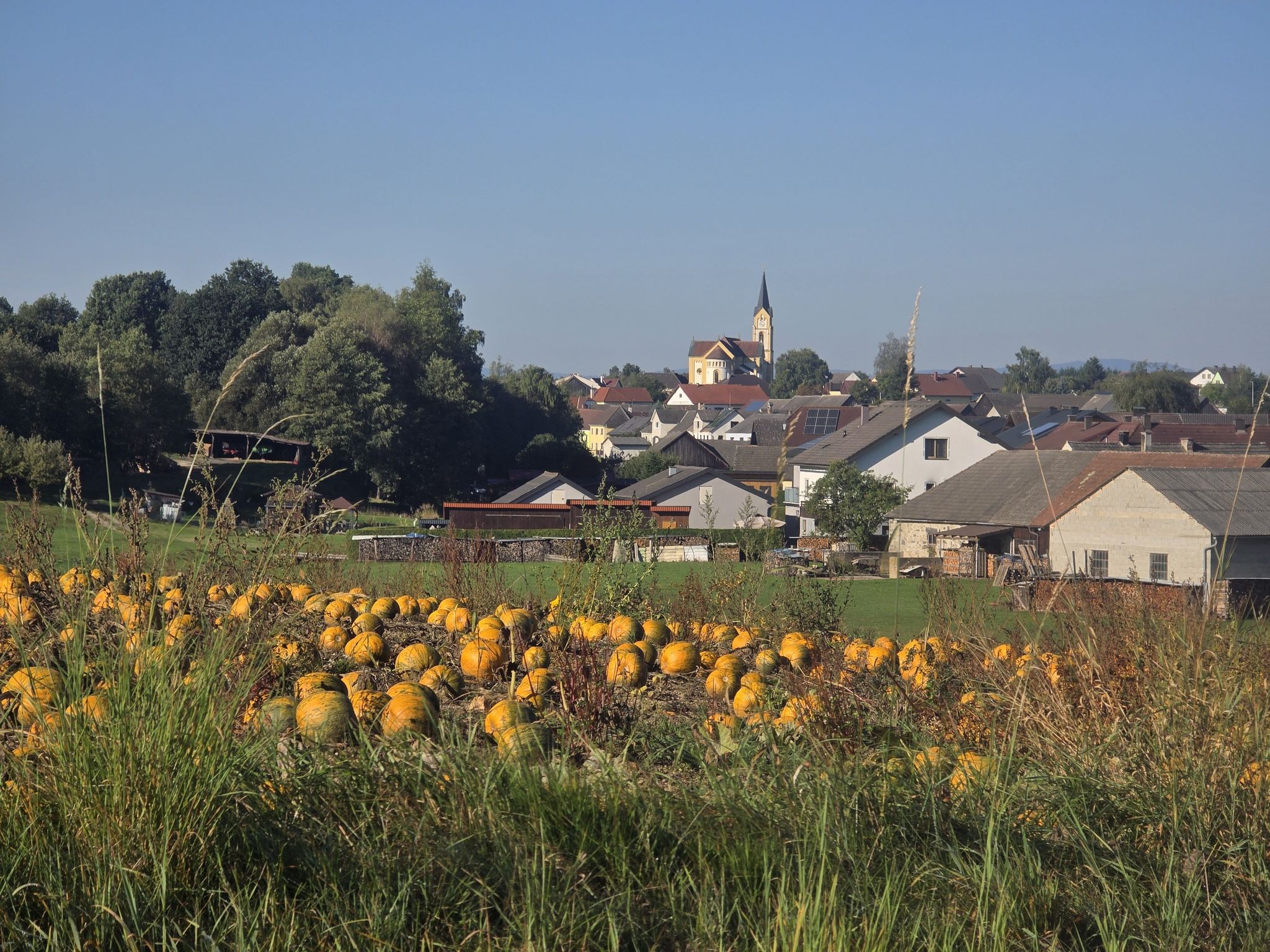 Ortschaft Langschwarza, Stadtgemeinde Schrems, Bezirk Gmünd