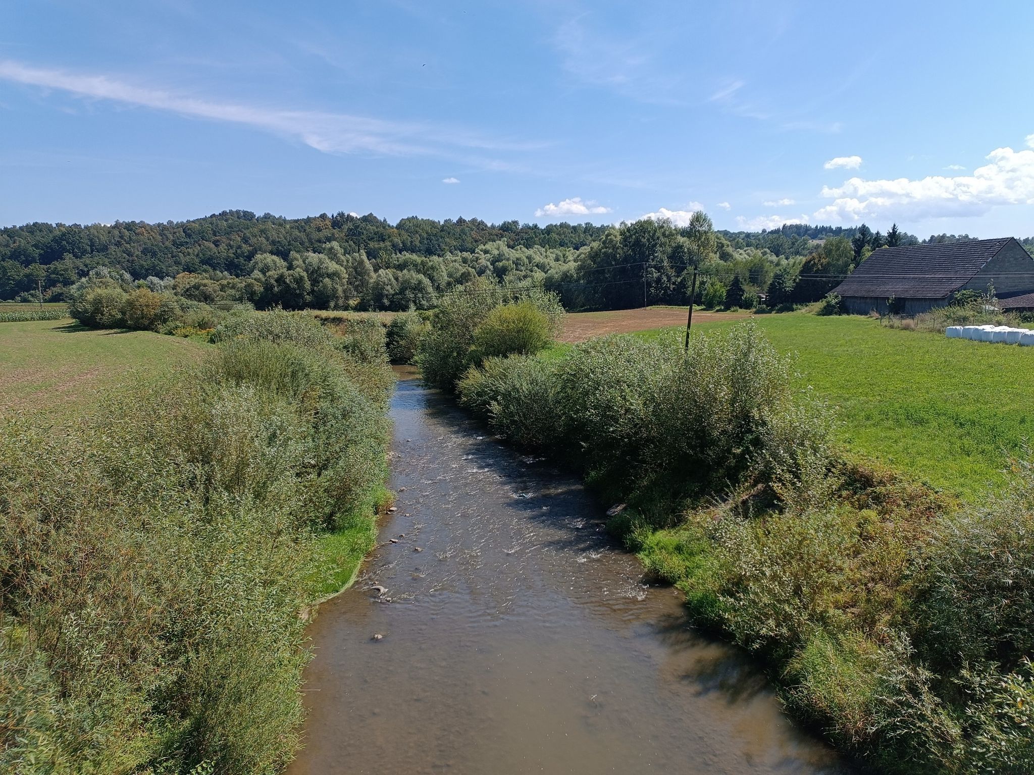 Wieruszyce