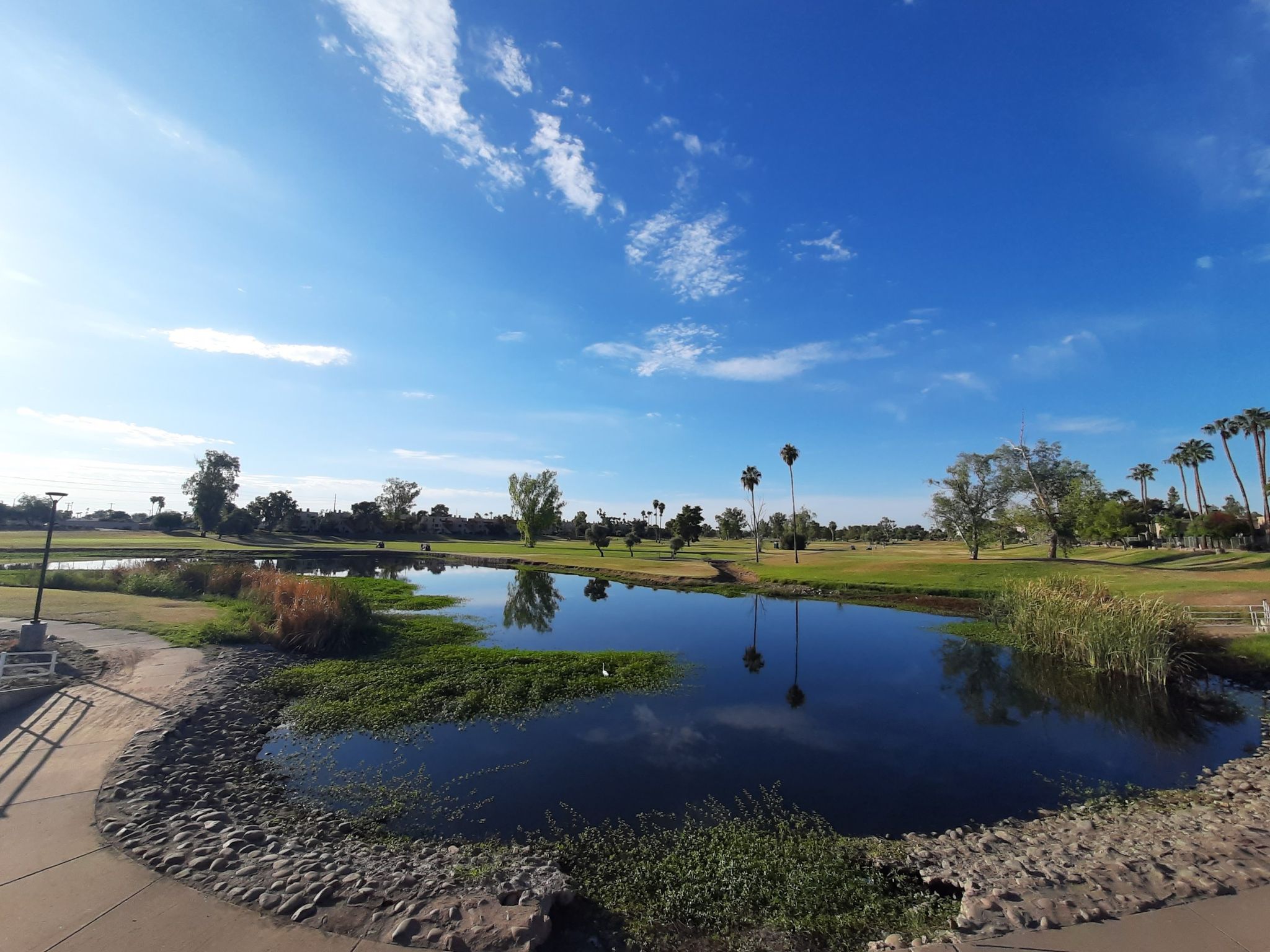 A pond reflecting trees and blue sky on a sunny day. - Camelback Park – Continental Golf Club trail loop from Kerr Cultural Center