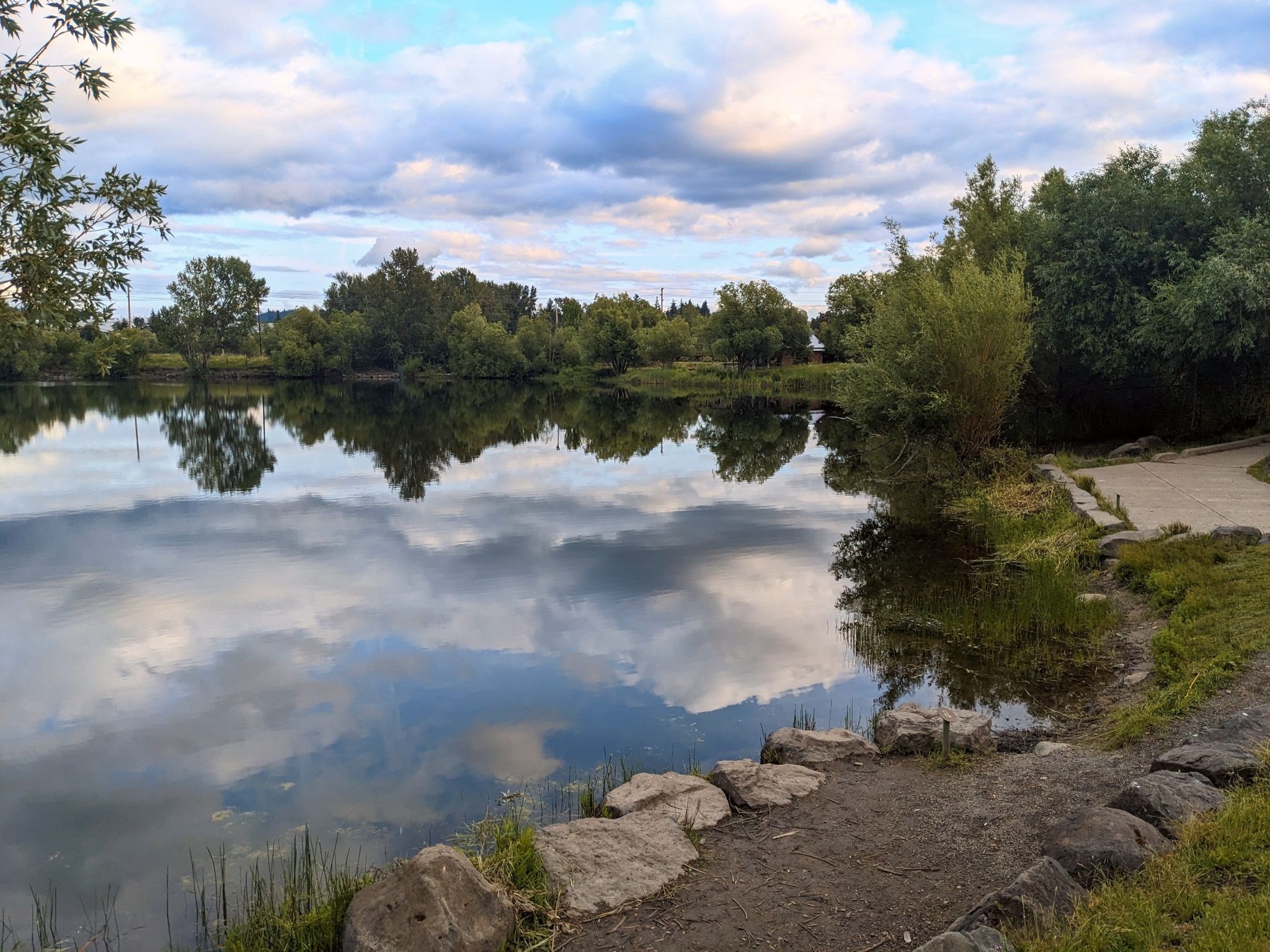 Calm lake reflecting cloudy sky and green trees, with a dirt path. - Salish Pond City Trail