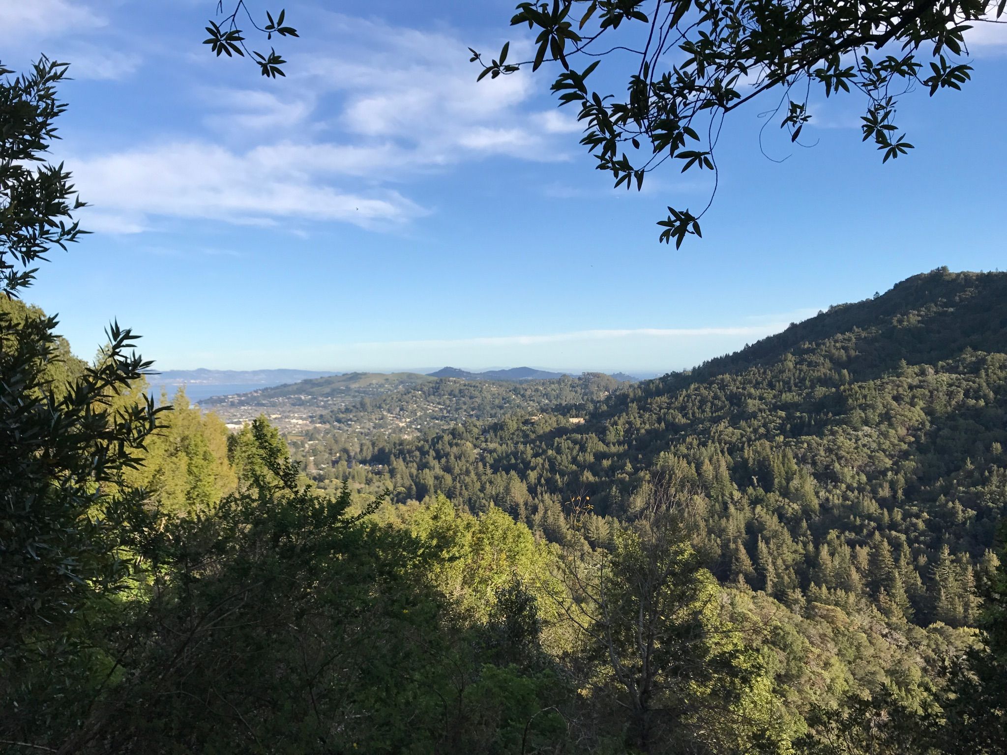 Panoramic view of forested hills, a distant town, and water under a blue sky. - King Mountain Loop Trail