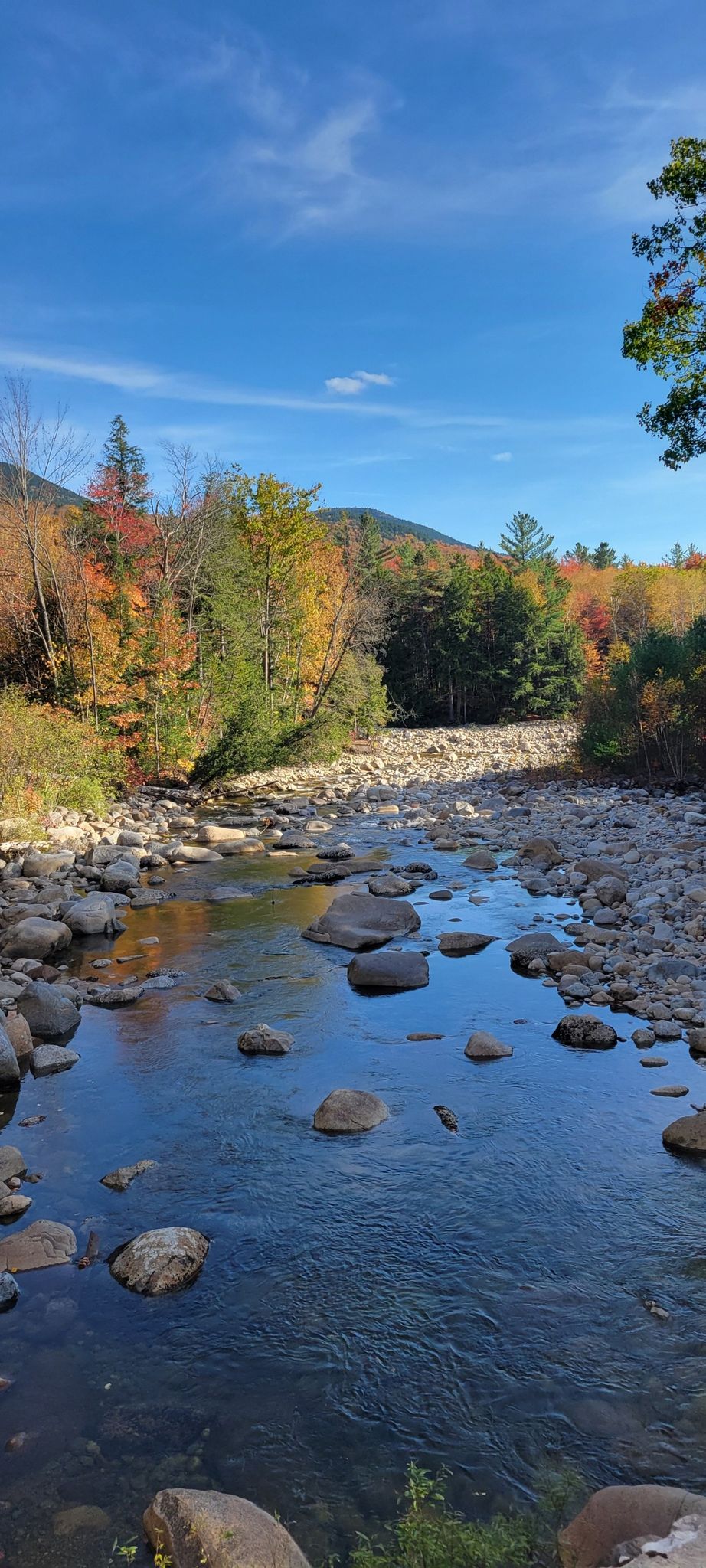 A clear, rocky river flows past vibrant autumn trees under a bright blue sky. - Franconia Brook Bridge – Owl's Head loop from Ice Pond
