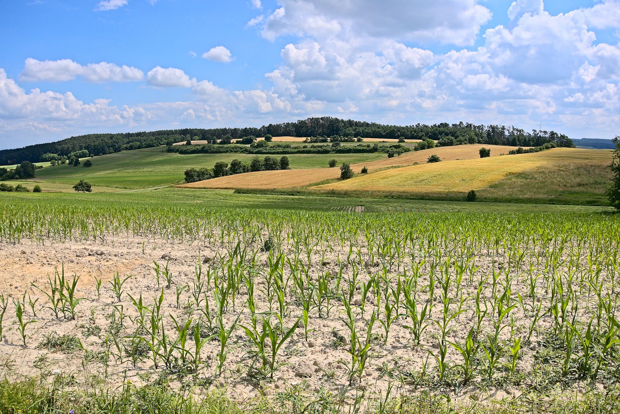 Ausblick bei Eckersbach