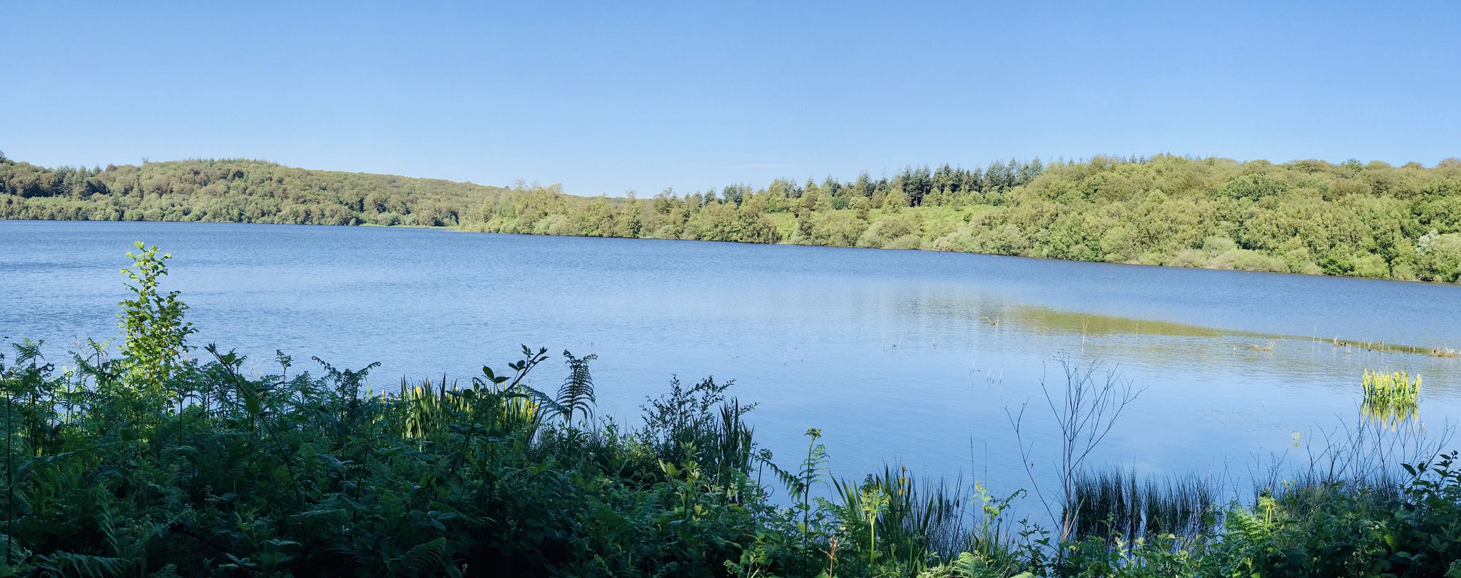 Le lac du Gast
