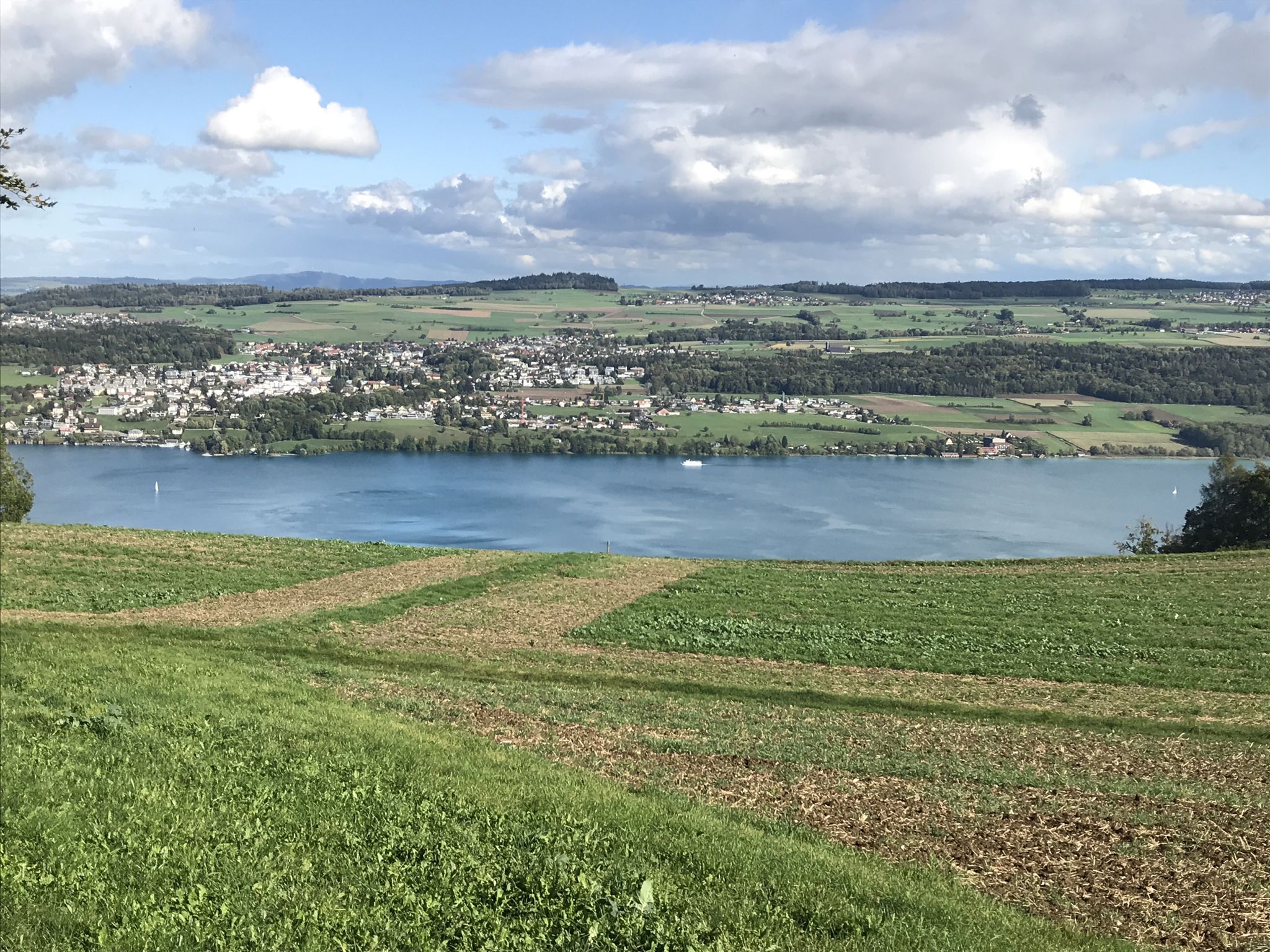 unter uns der Hallwilersee, gegenüber Hotel Seerose und Lindenberg